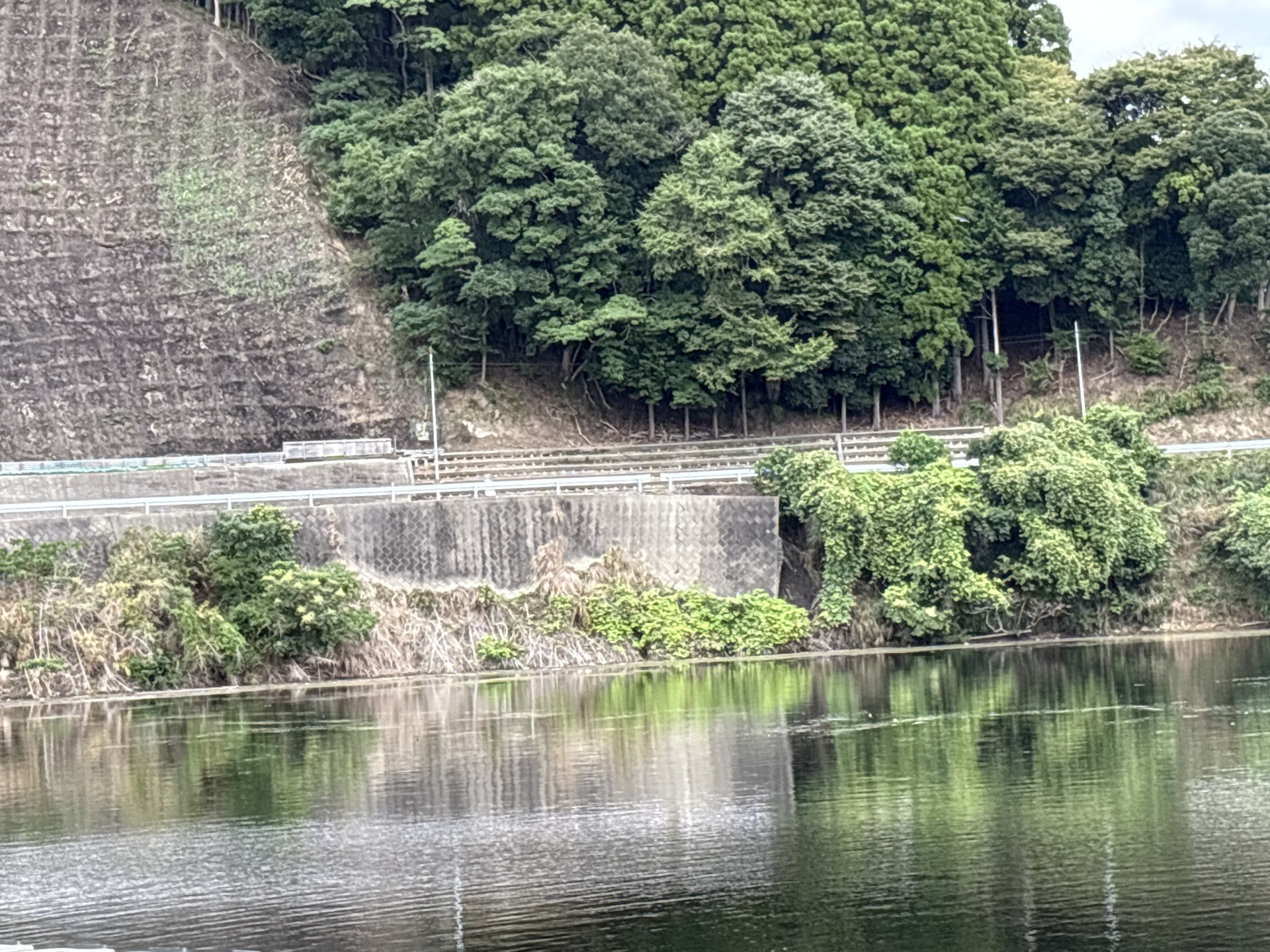 戸面原ダム 戸面原ダムボートセンターの2025年9月19日のイメージ