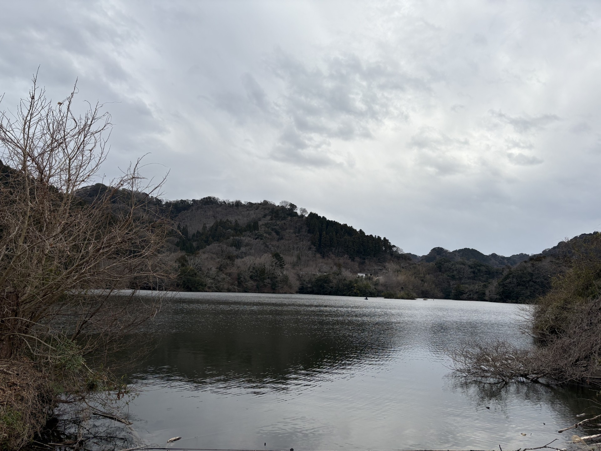 戸面原ダム 戸面原ダムボートセンターの2025年3月8日のイメージ