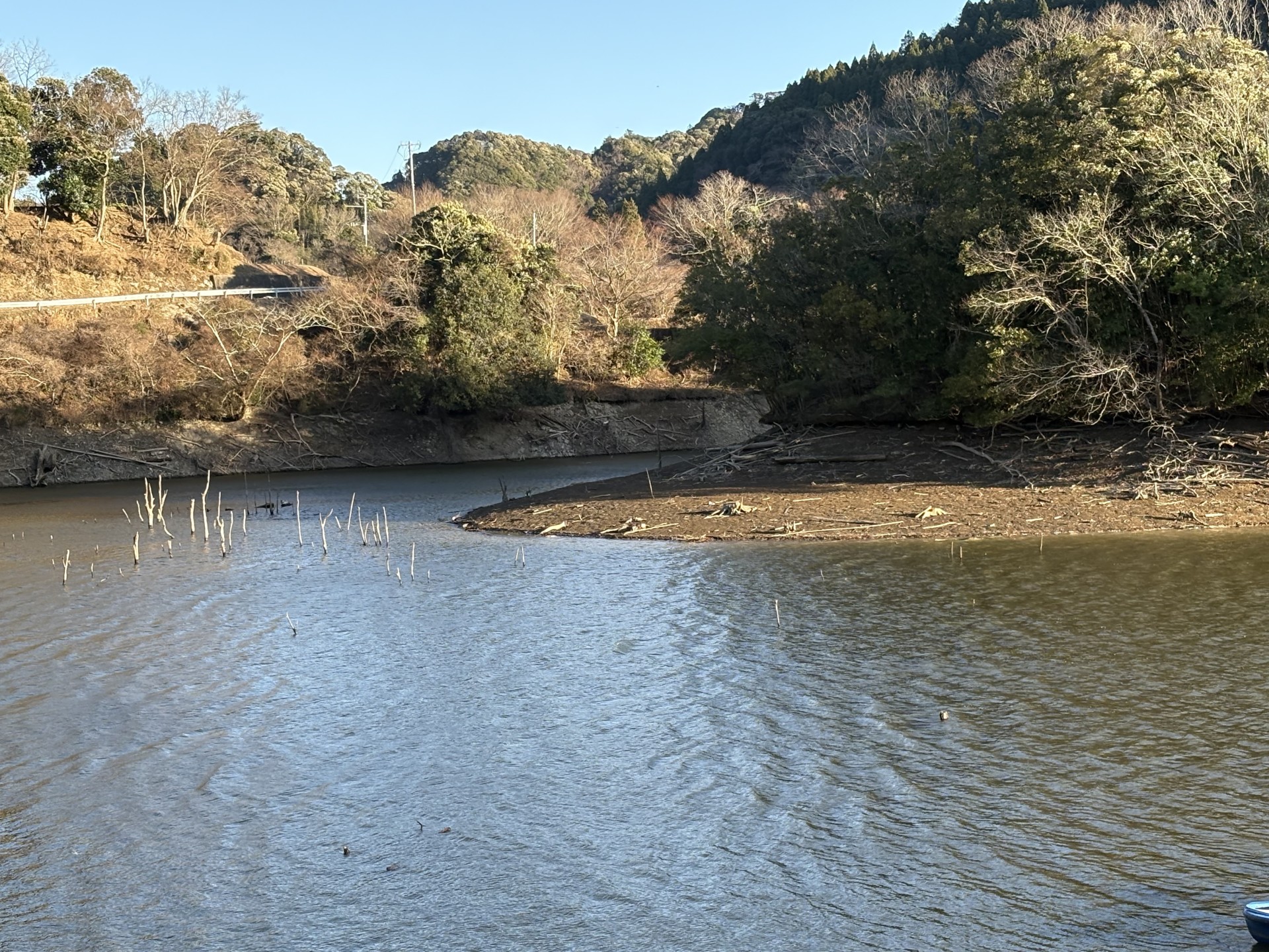戸面原ダム 戸面原ダムボートセンターの2026年1月11日のイメージ
