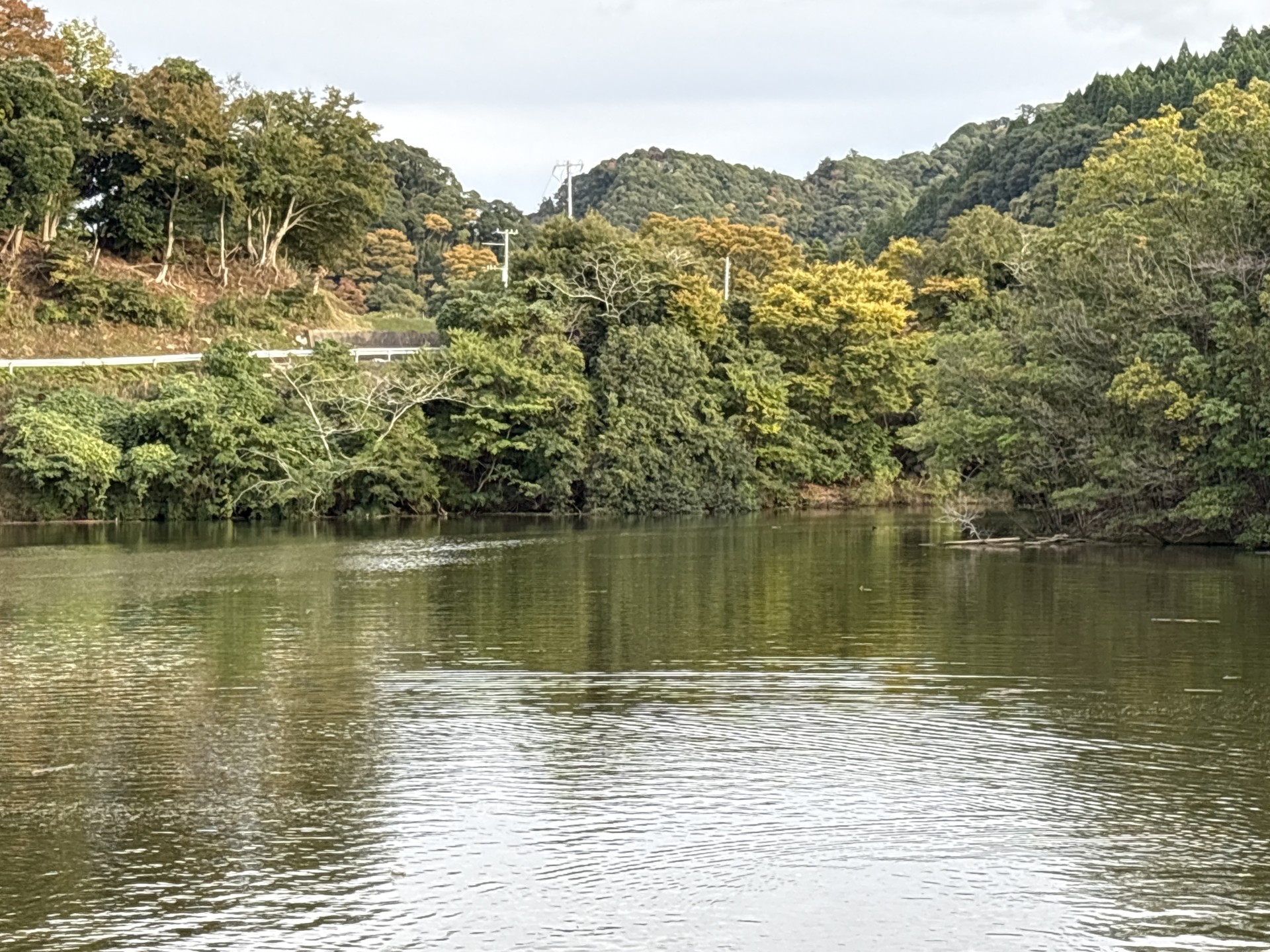 戸面原ダム 戸面原ダムボートセンターの2025年11月1日のイメージ