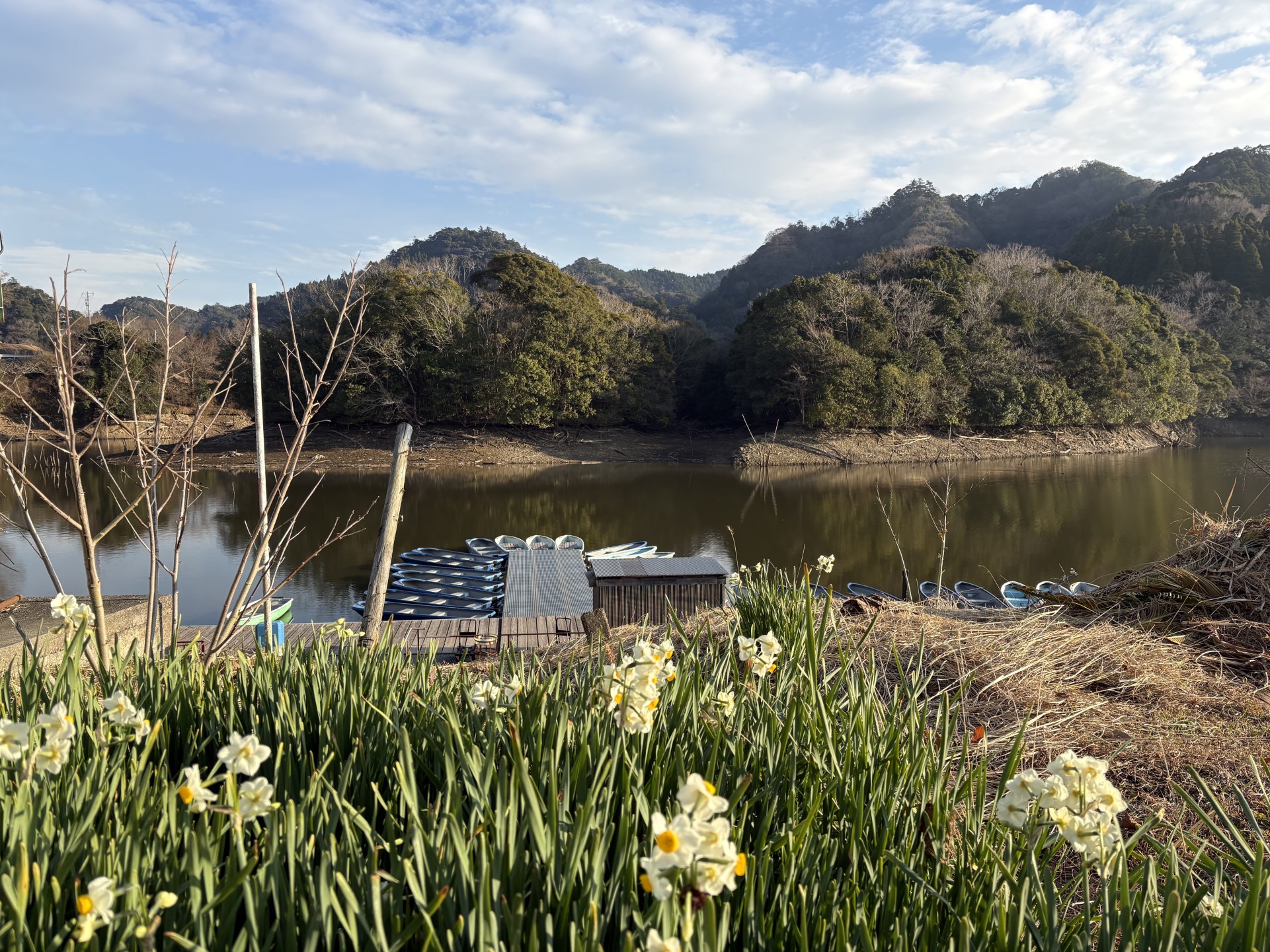 戸面原ダム 戸面原ダムボートセンターの2026年1月7日のイメージ