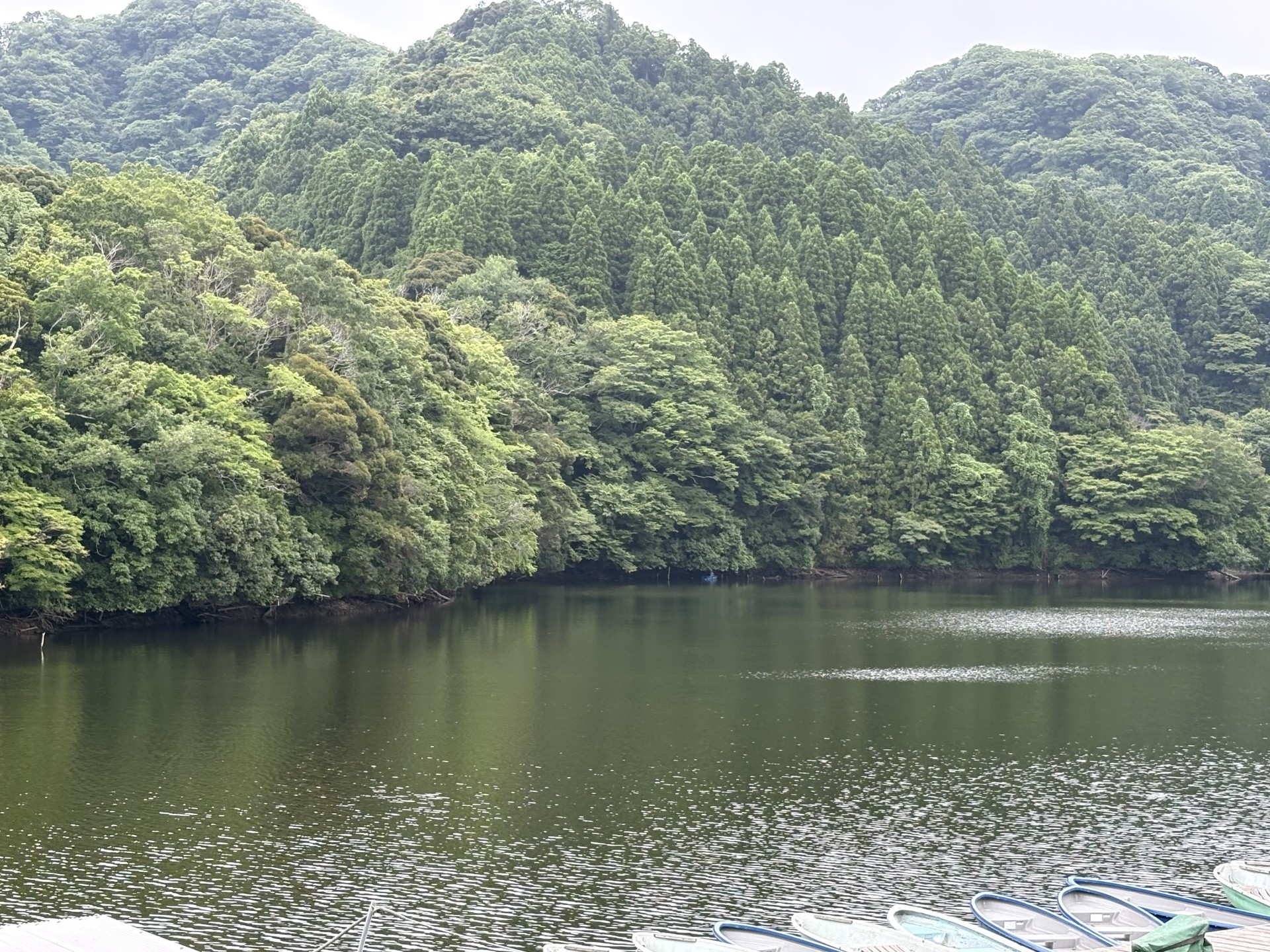 戸面原ダム 戸面原ダムボートセンターの2025年7月1日のイメージ