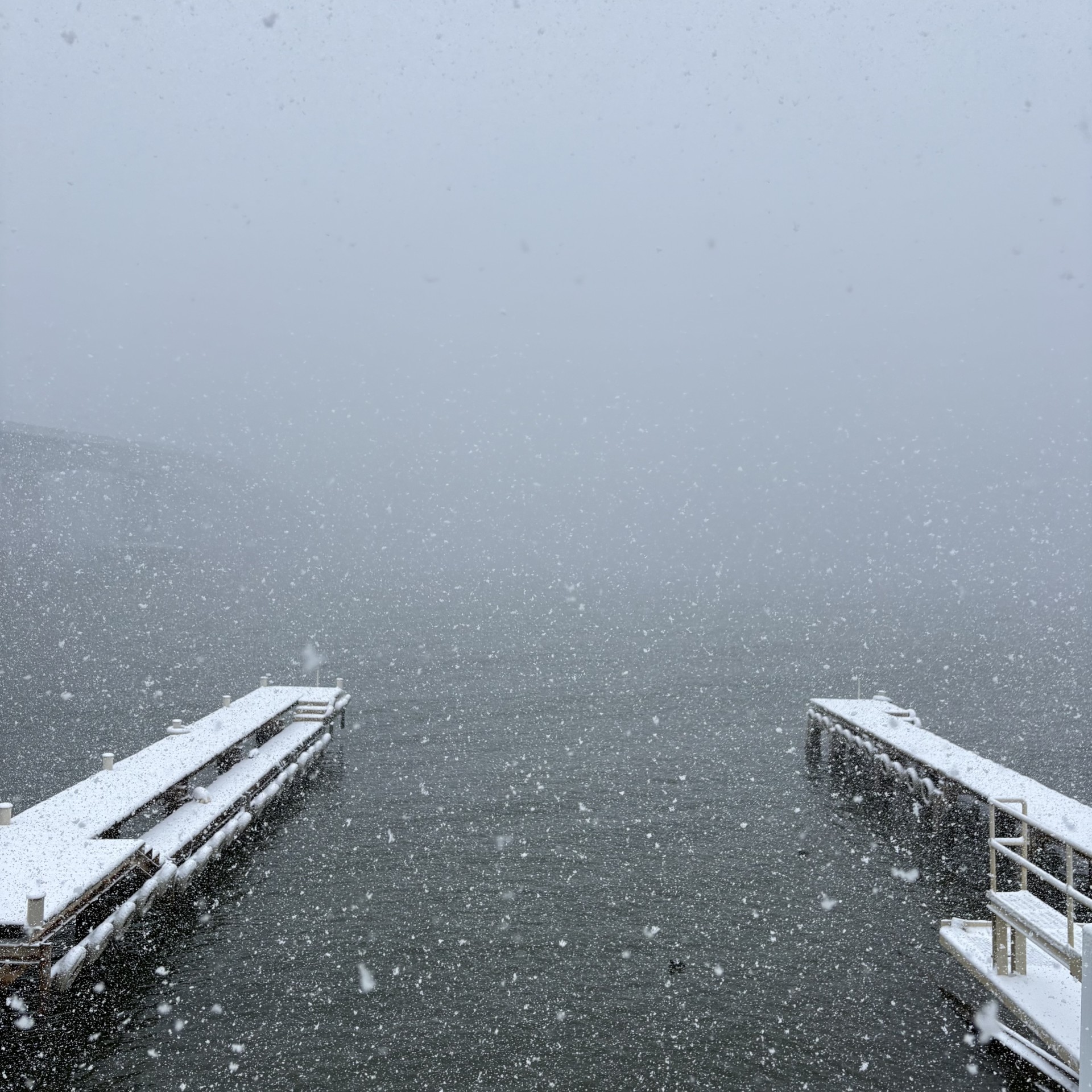 琵琶湖 大橋マリーナの2026年2月8日のイメージ