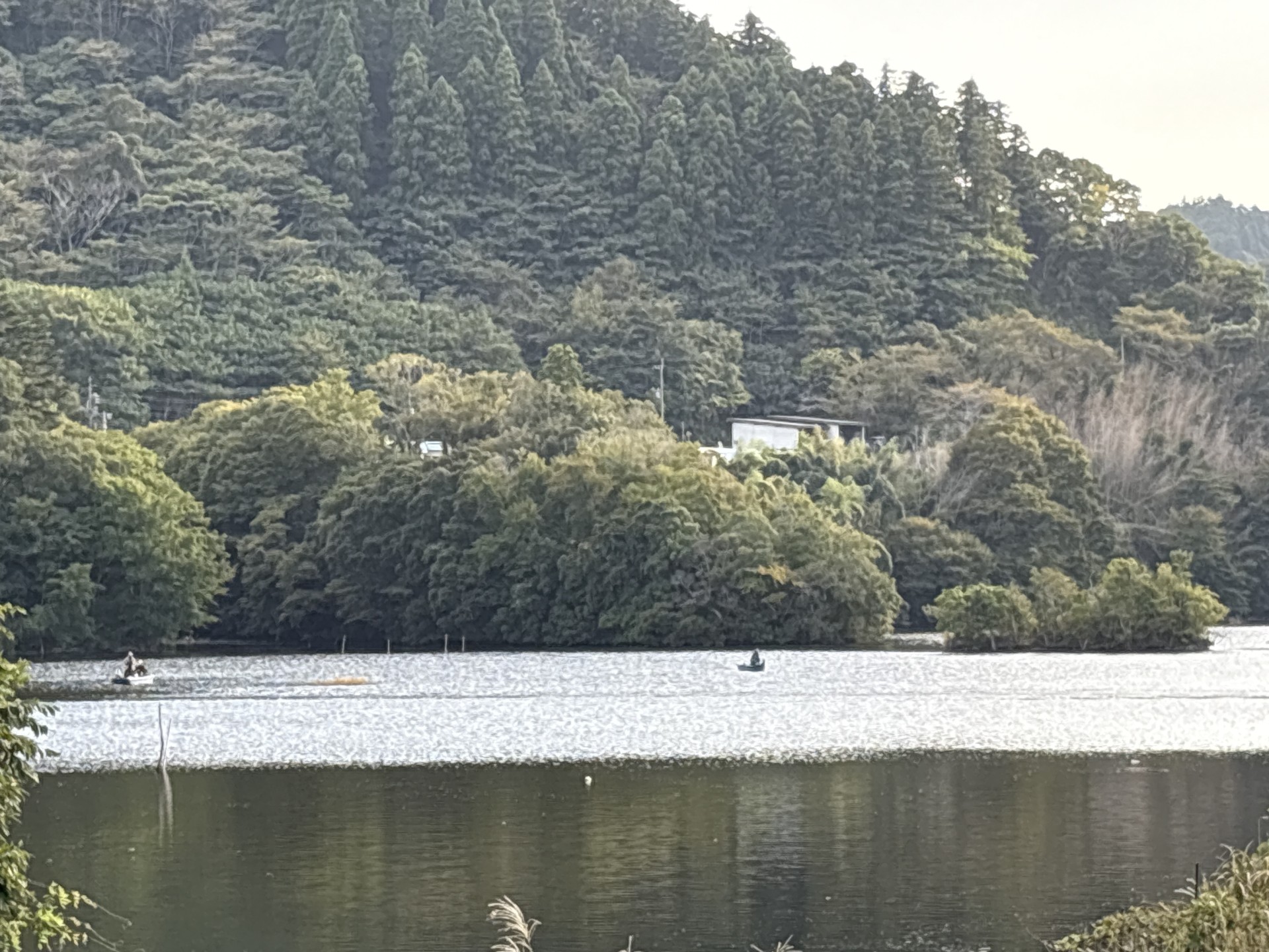 戸面原ダム 戸面原ダムボートセンターの2025年9月30日のイメージ