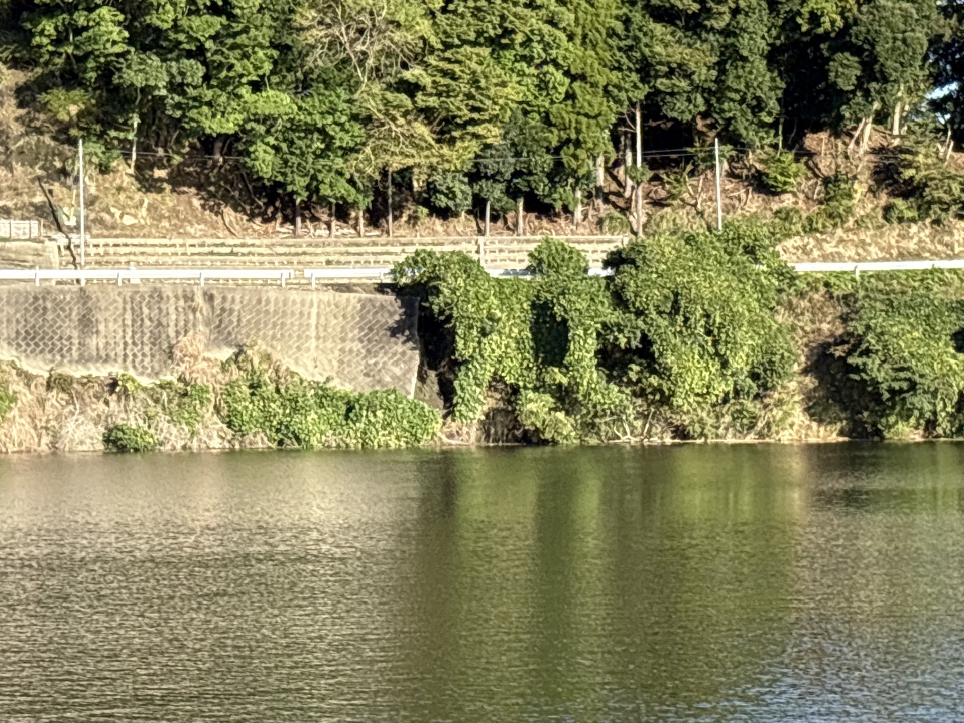 戸面原ダム 戸面原ダムボートセンターの2025年10月17日のイメージ