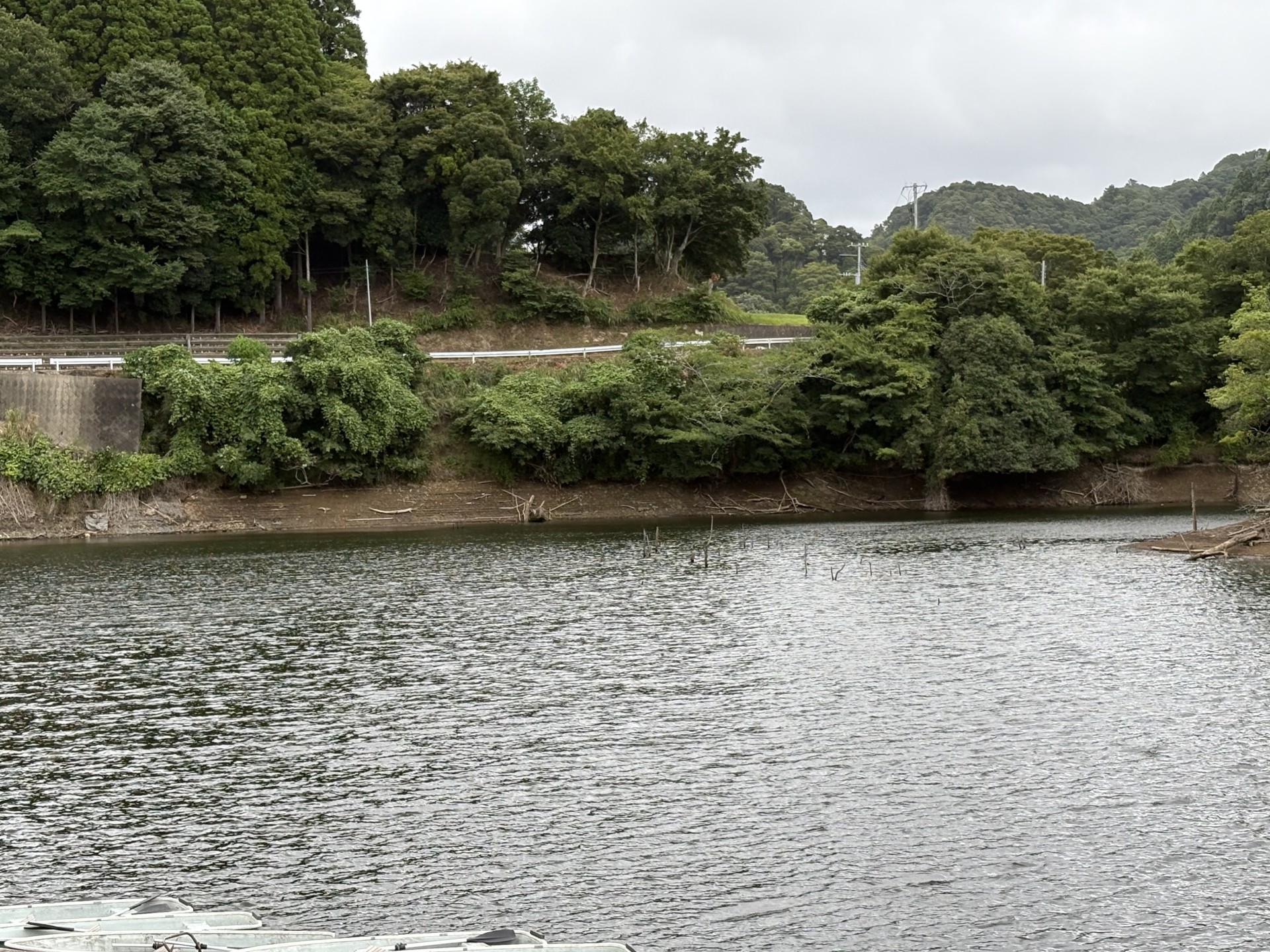 戸面原ダム 戸面原ダムボートセンターの2025年8月11日のイメージ