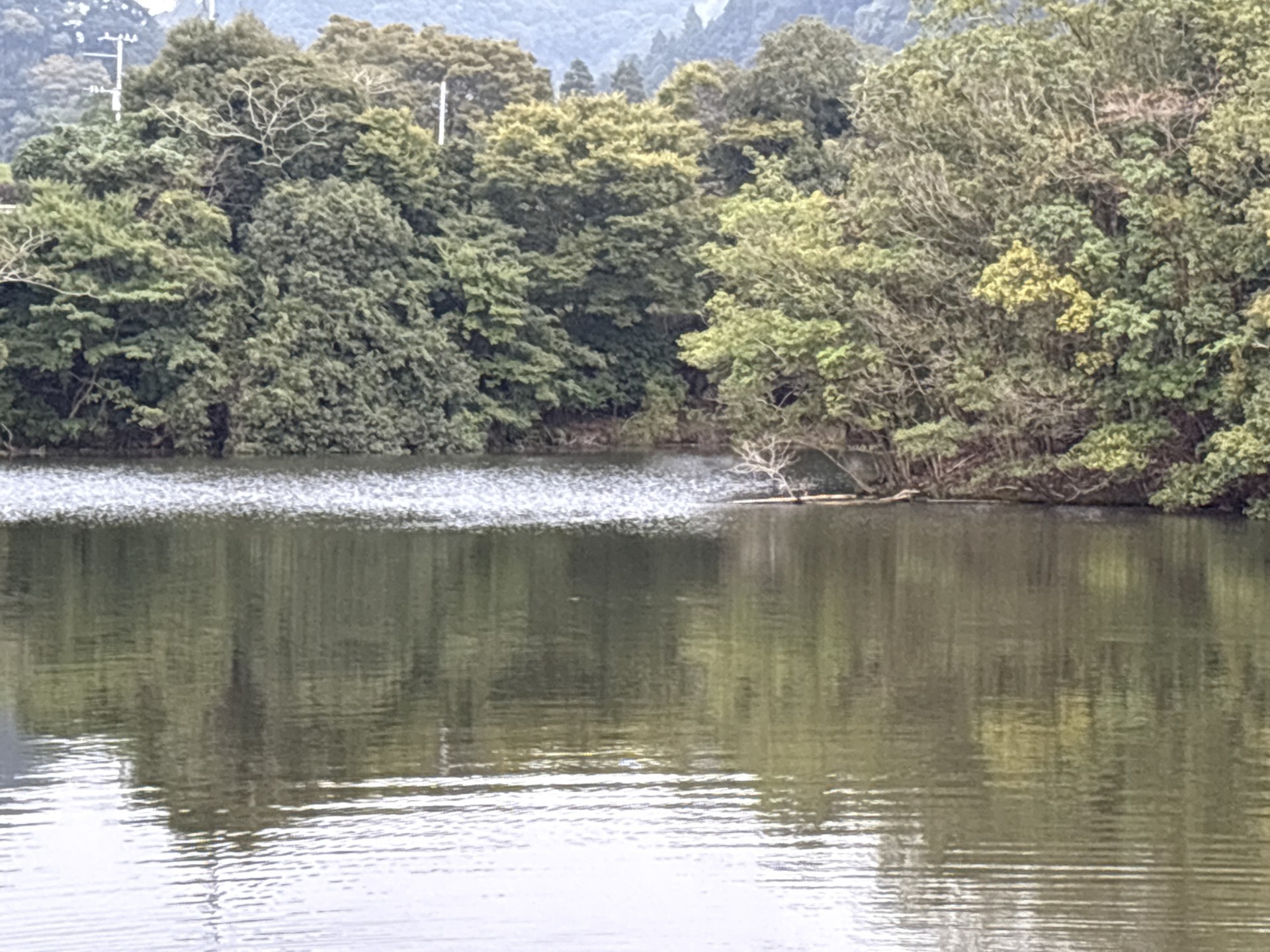 戸面原ダム 戸面原ダムボートセンターの2025年10月20日のイメージ