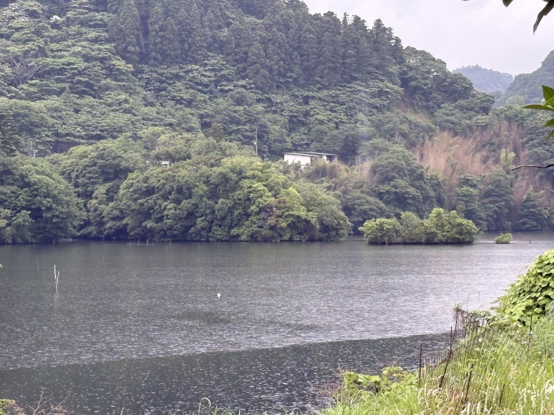 戸面原ダム 戸面原ダムボートセンターの2025年6月9日のイメージ