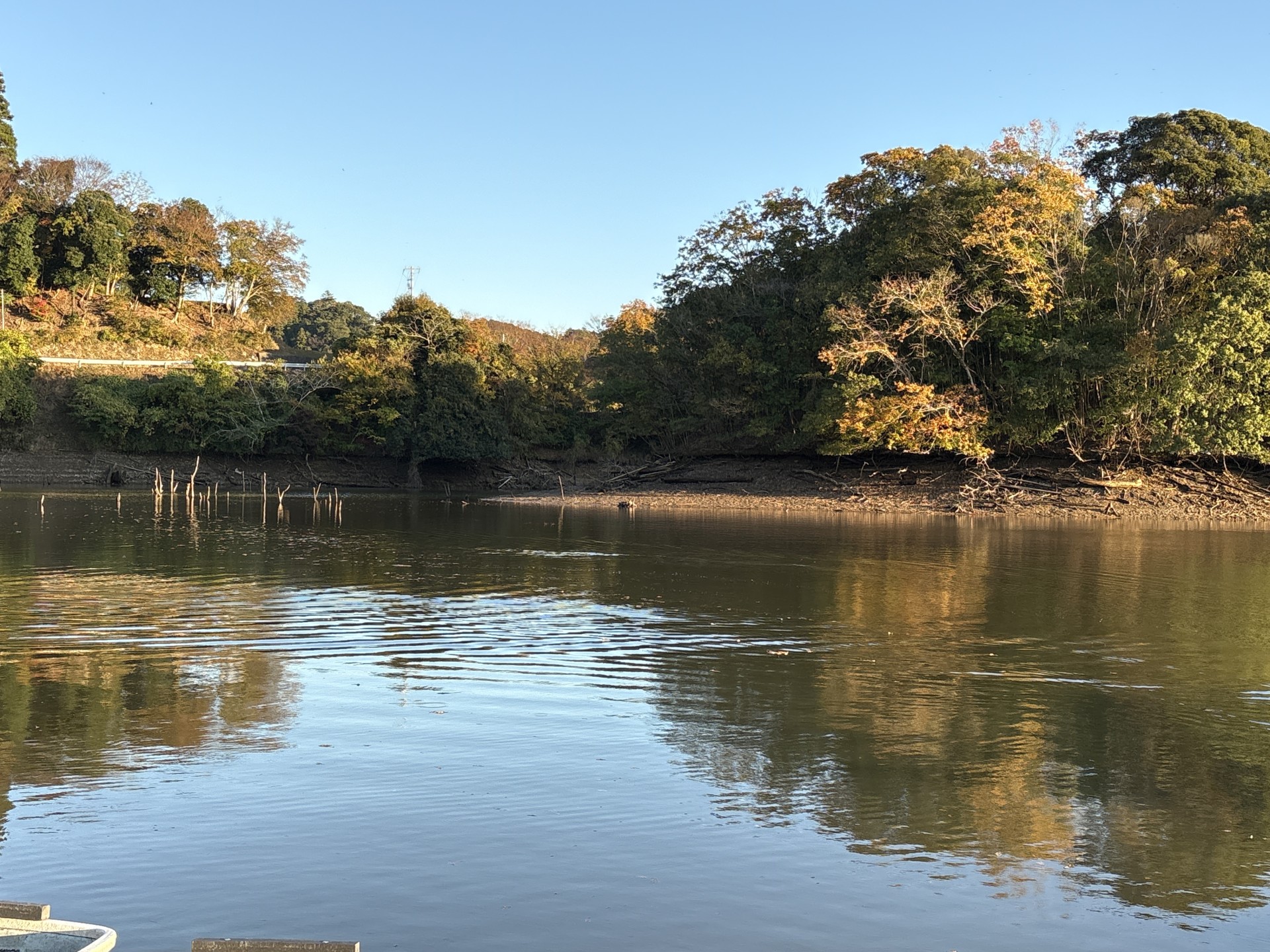 戸面原ダム 戸面原ダムボートセンターの2025年11月26日のイメージ