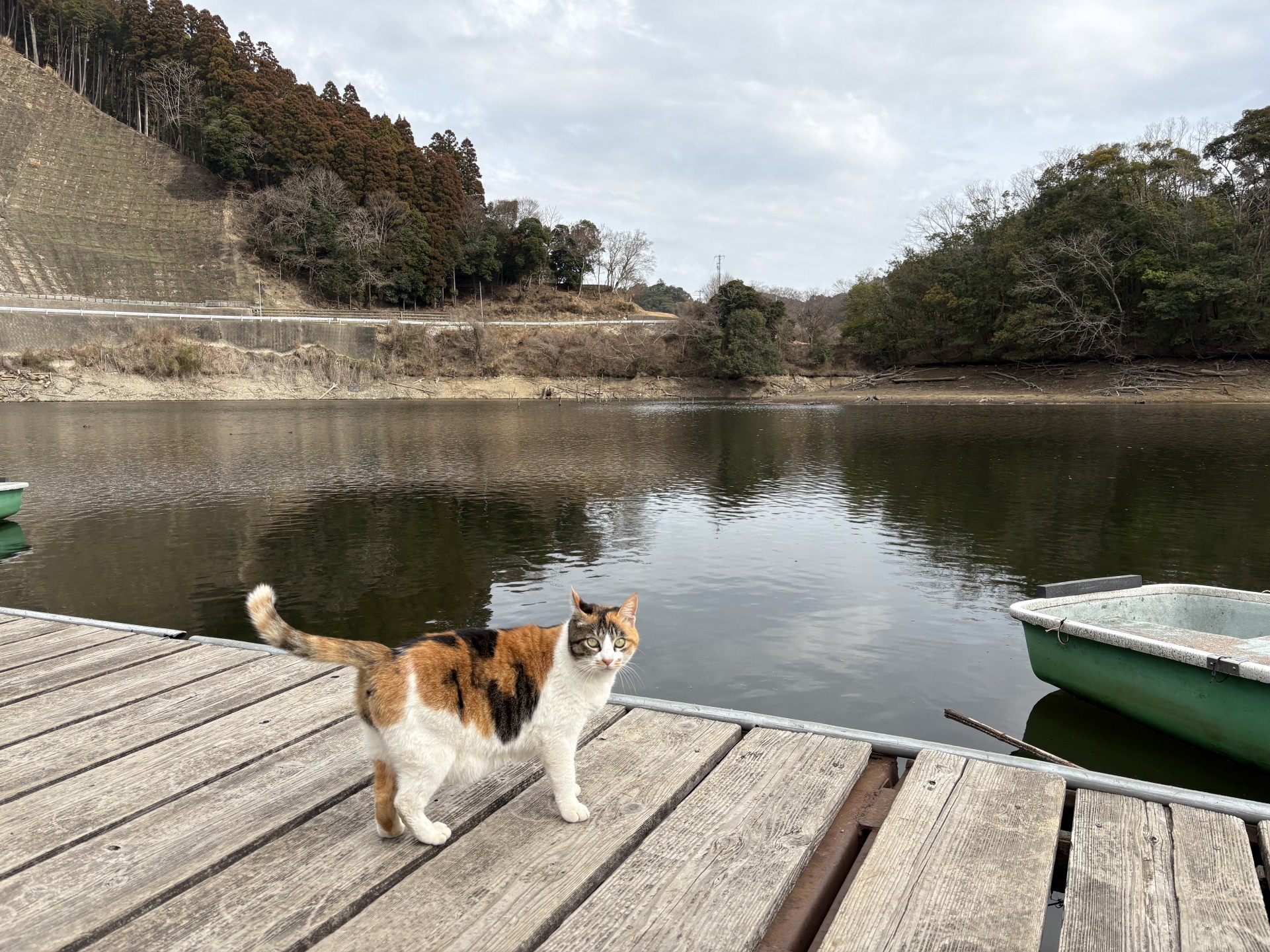 戸面原ダム 戸面原ダムボートセンターの2026年2月24日のイメージ