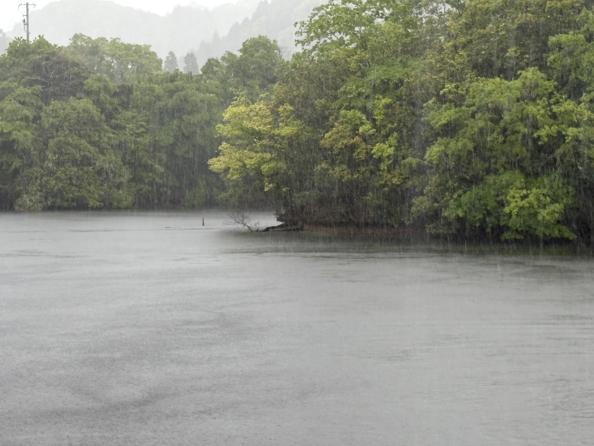 戸面原ダム 戸面原ダムボートセンターの2025年5月2日のイメージ
