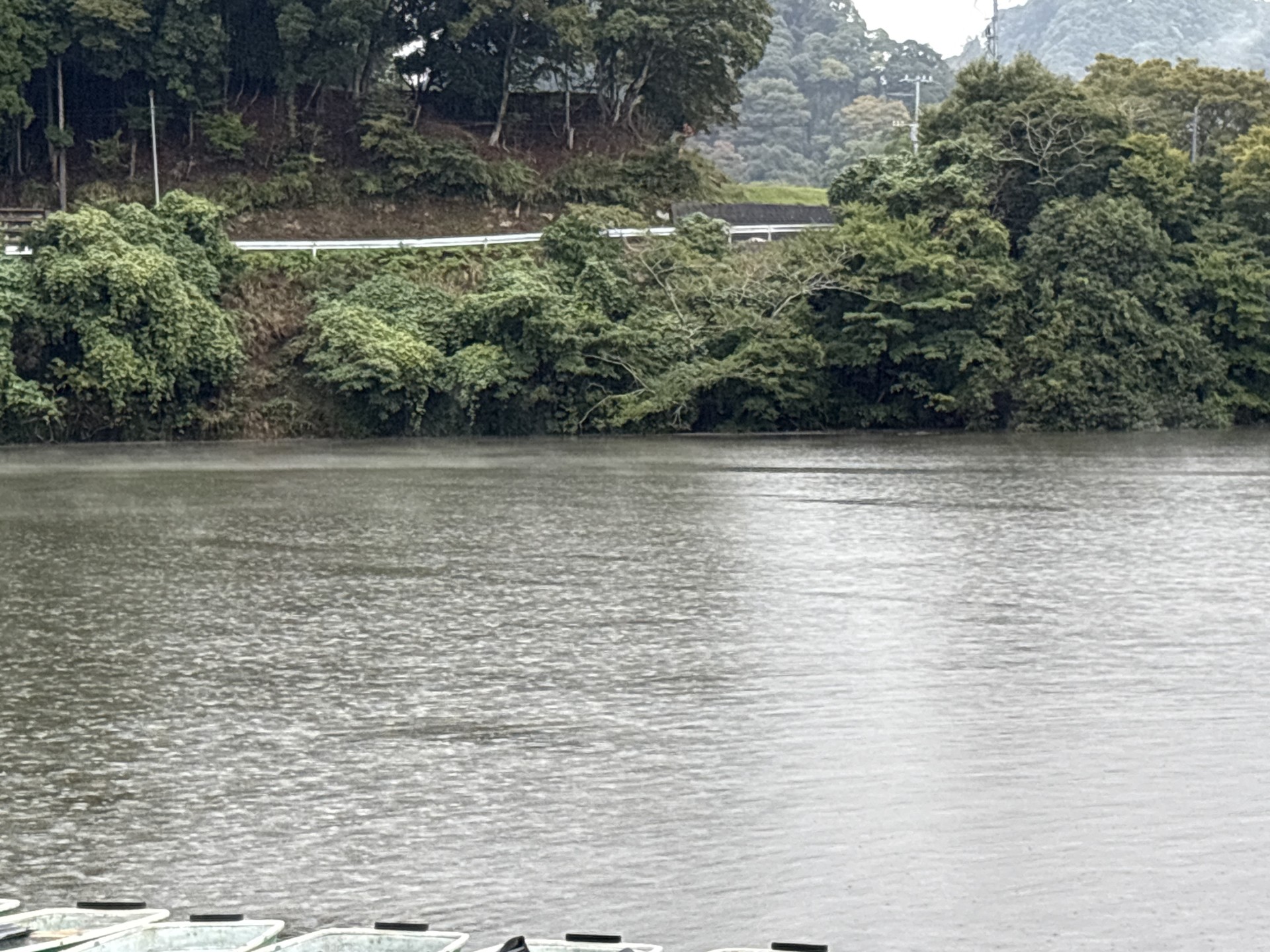 戸面原ダム 戸面原ダムボートセンターの2025年10月22日のイメージ