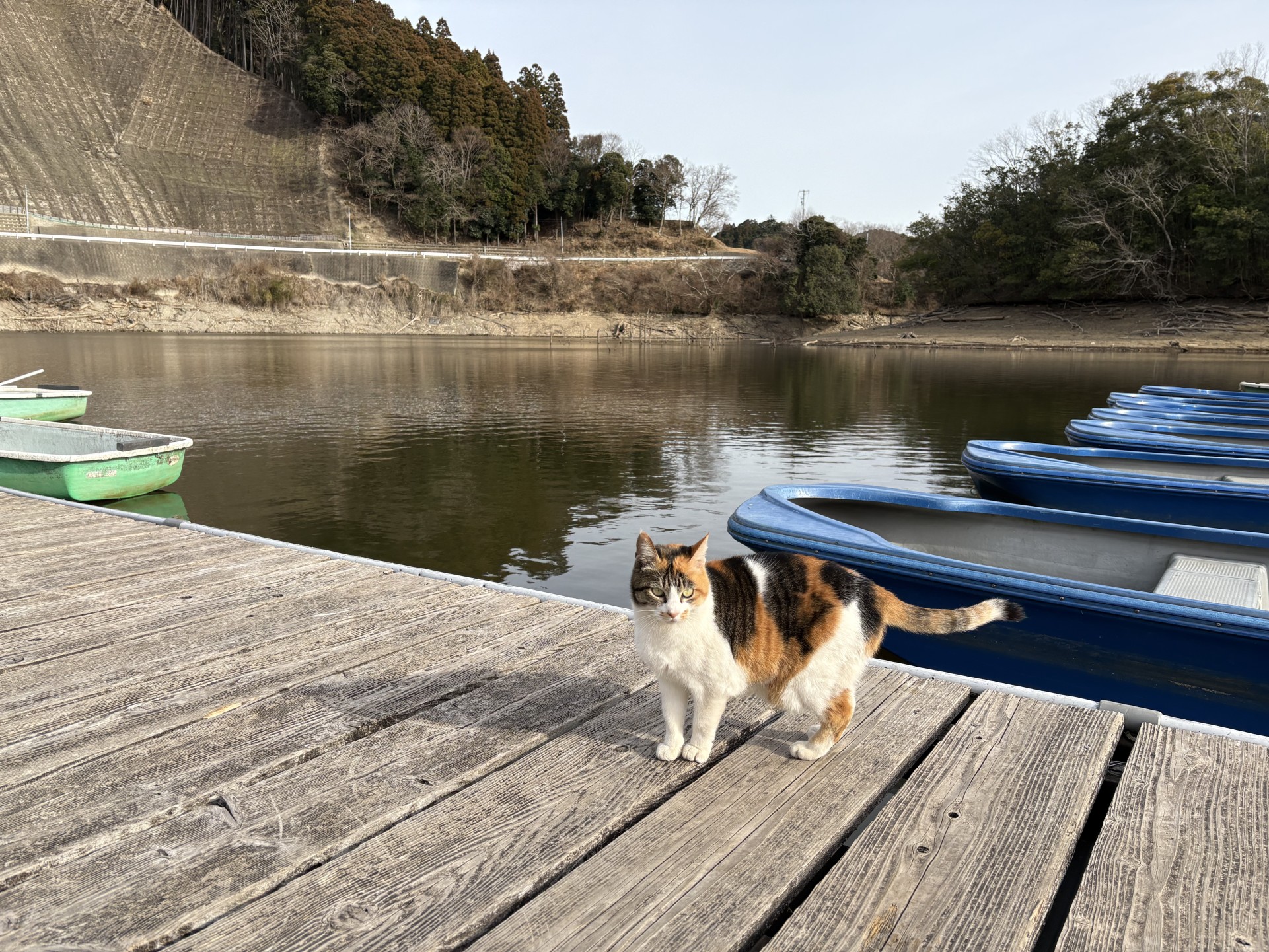 戸面原ダム 戸面原ダムボートセンターの2026年1月26日のイメージ