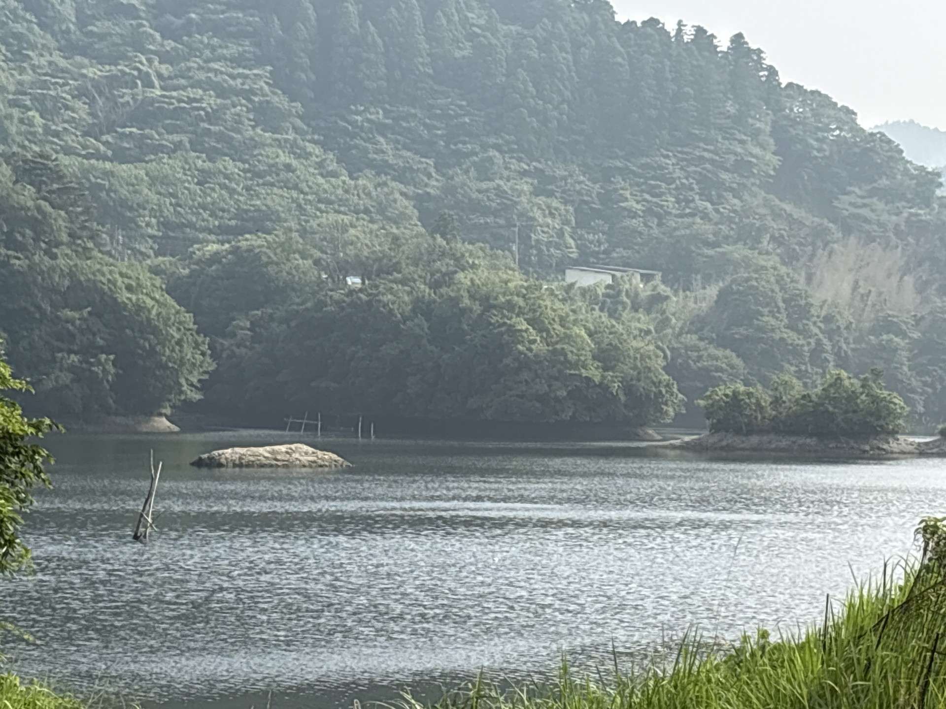 戸面原ダム 戸面原ダムボートセンターの2025年7月7日のイメージ