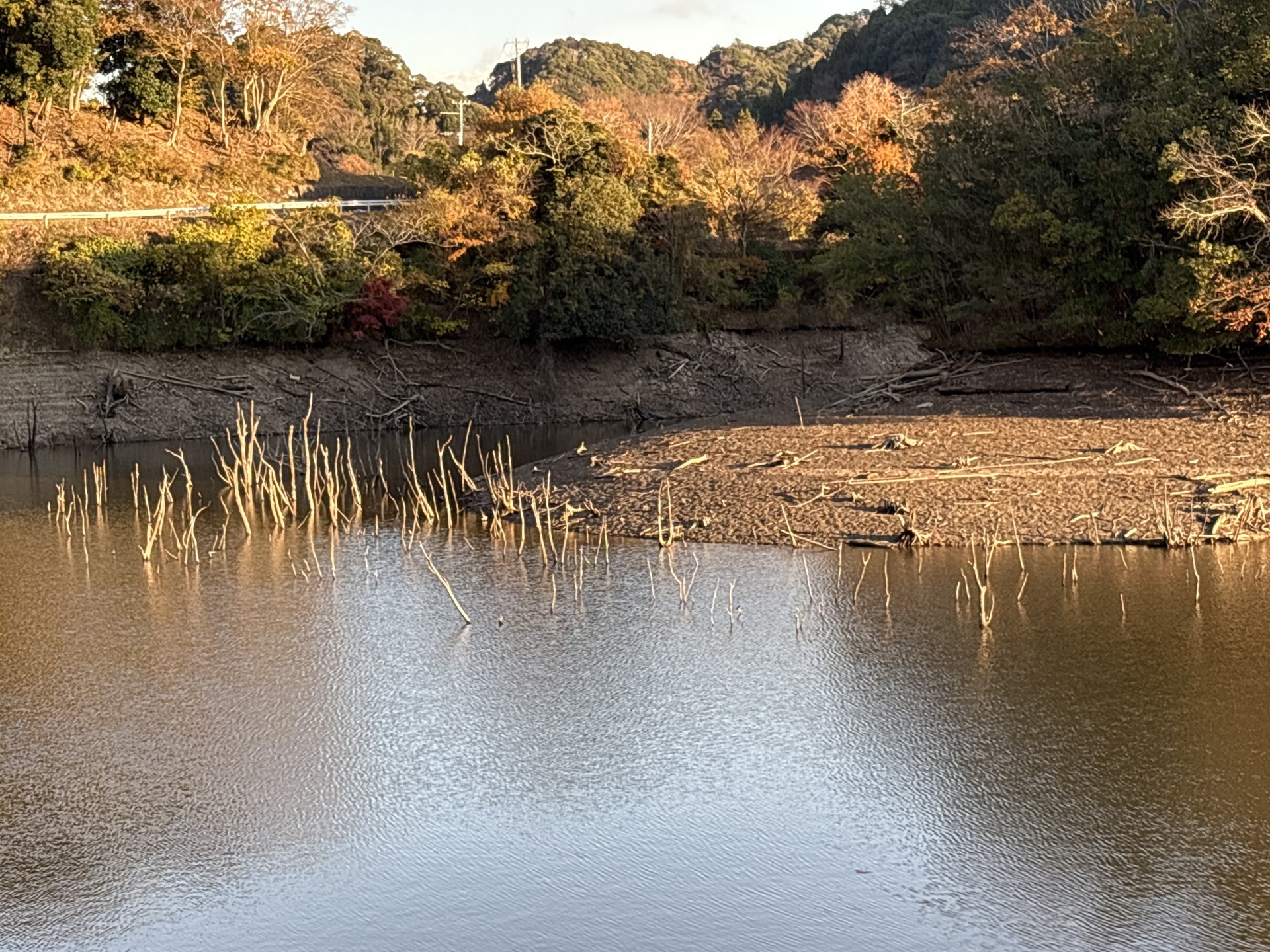 戸面原ダム 戸面原ダムボートセンターの2025年12月5日のイメージ