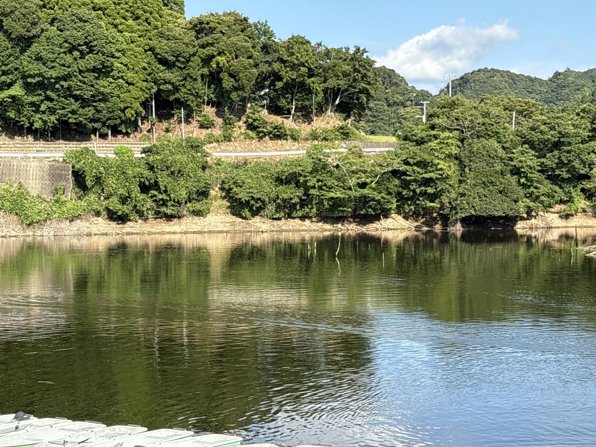 戸面原ダム 戸面原ダムボートセンターの2025年8月3日のイメージ