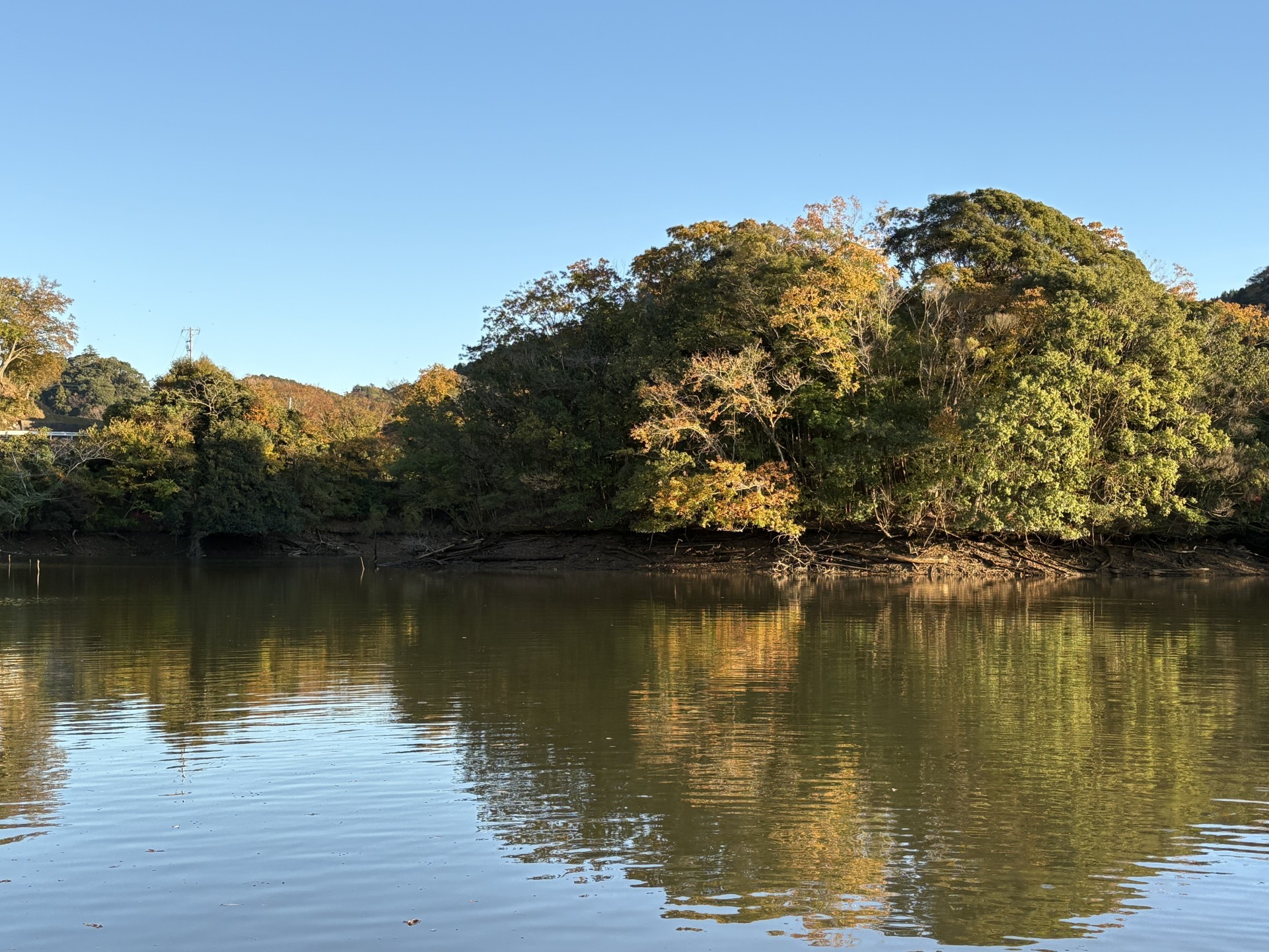 戸面原ダム 戸面原ダムボートセンターの2025年11月24日のイメージ