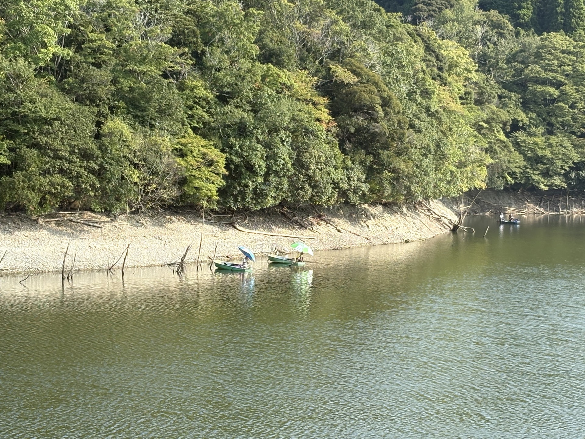 戸面原ダム 戸面原ダムボートセンターの2025年8月30日のイメージ