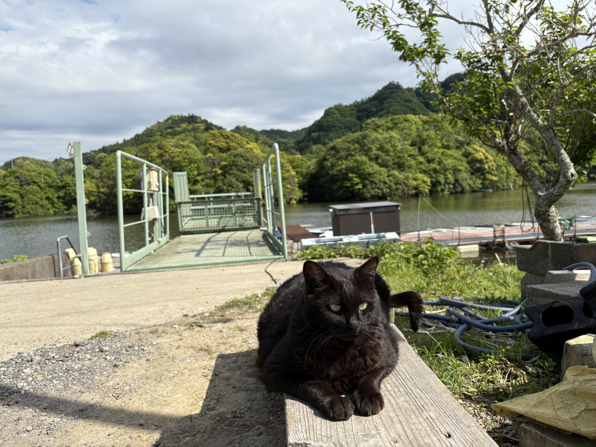 戸面原ダム 戸面原ダムボートセンターの2025年5月8日のイメージ