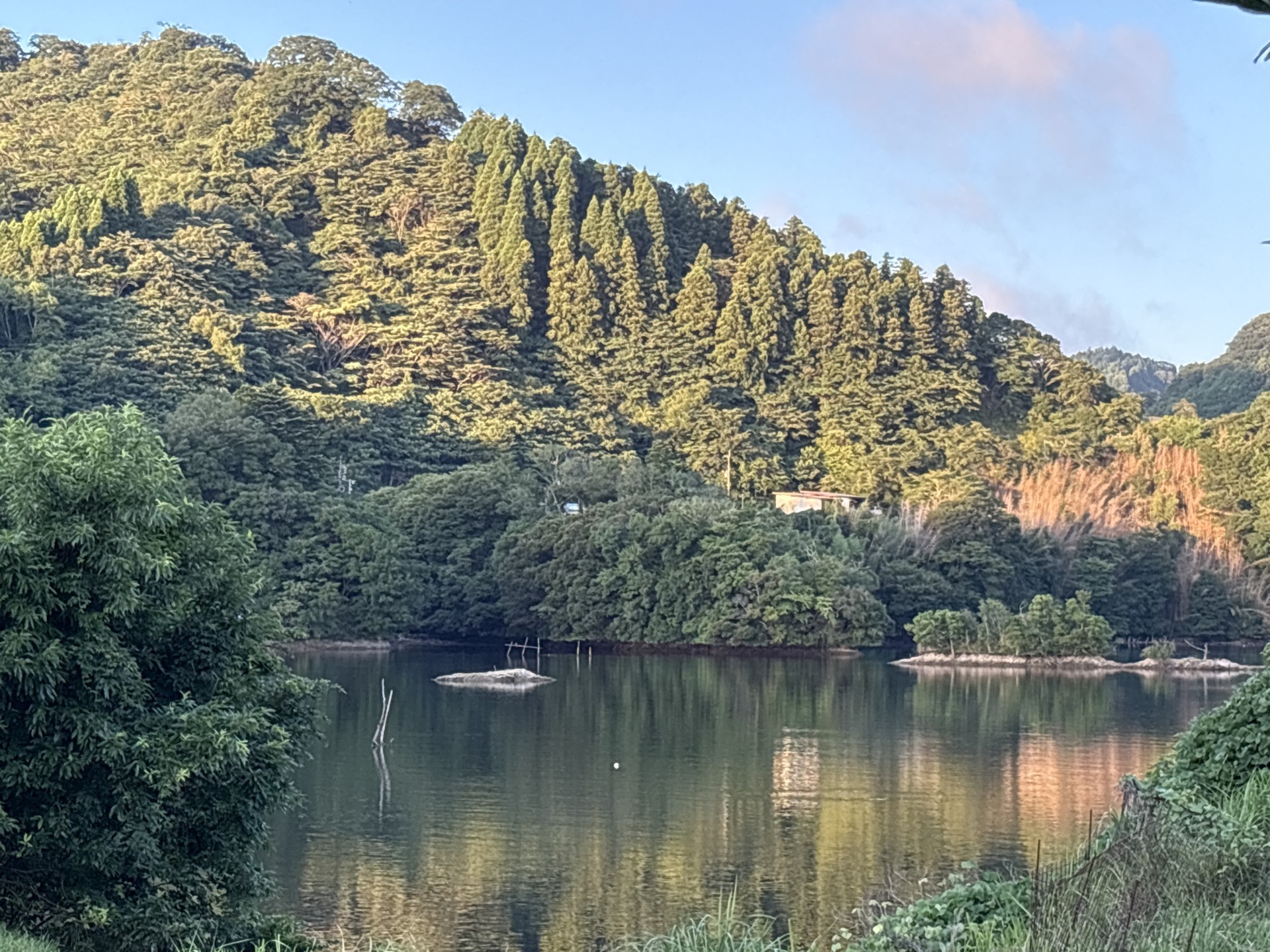 戸面原ダム 戸面原ダムボートセンターの2025年7月22日のイメージ