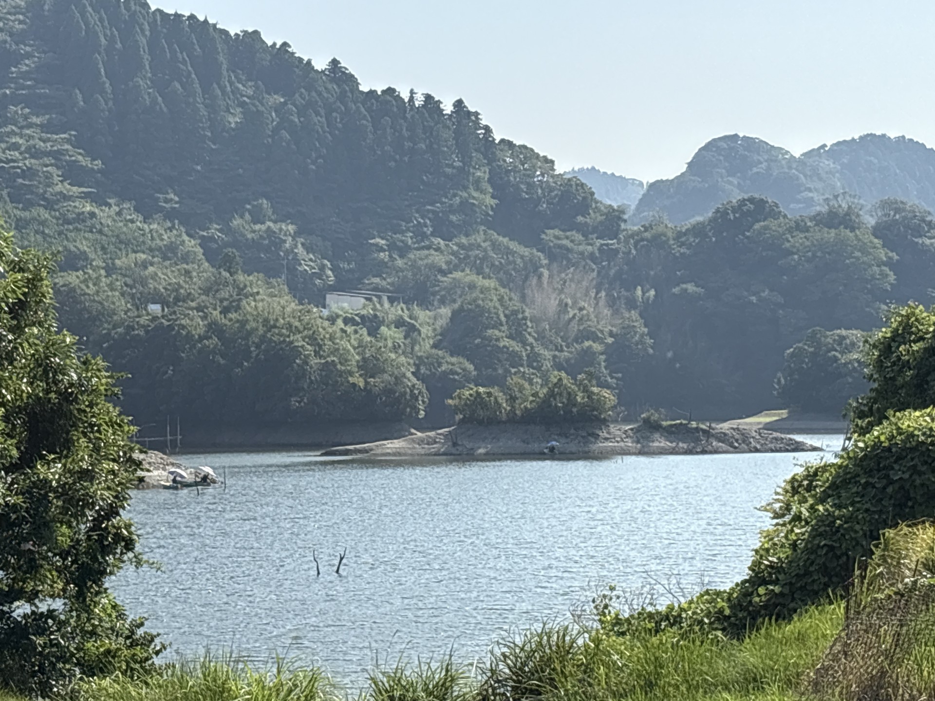 戸面原ダム 戸面原ダムボートセンターの2025年8月24日のイメージ