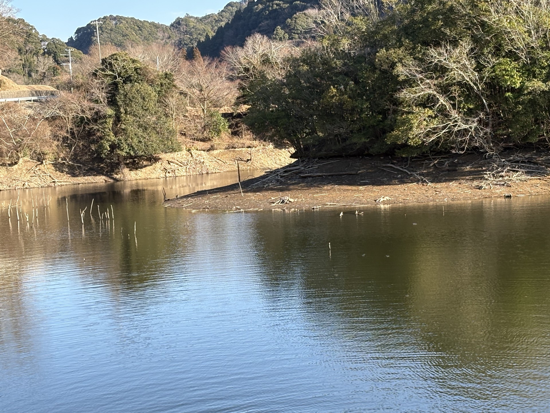 戸面原ダム 戸面原ダムボートセンターの2026年2月18日のイメージ