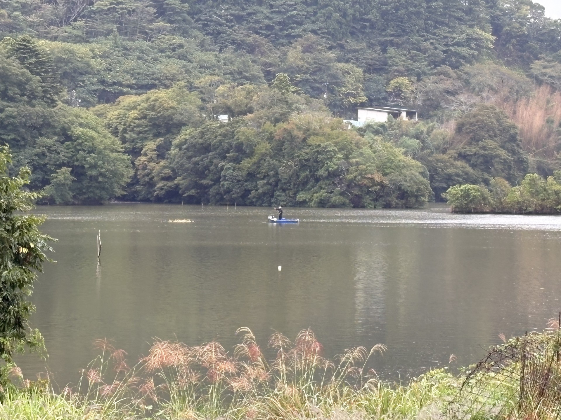 戸面原ダム 戸面原ダムボートセンターの2025年10月11日のイメージ