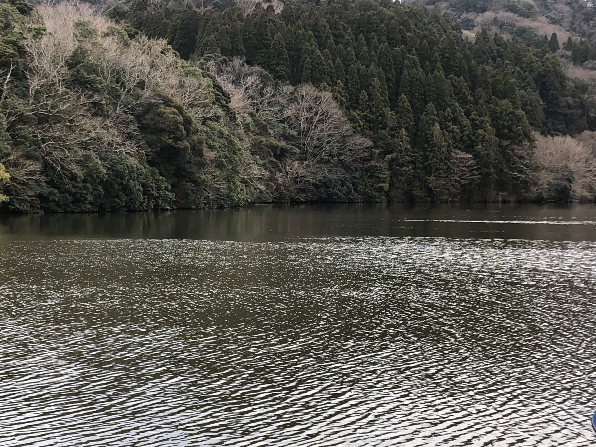 戸面原ダム 戸面原ダムボートセンターの2025年1月20日のイメージ