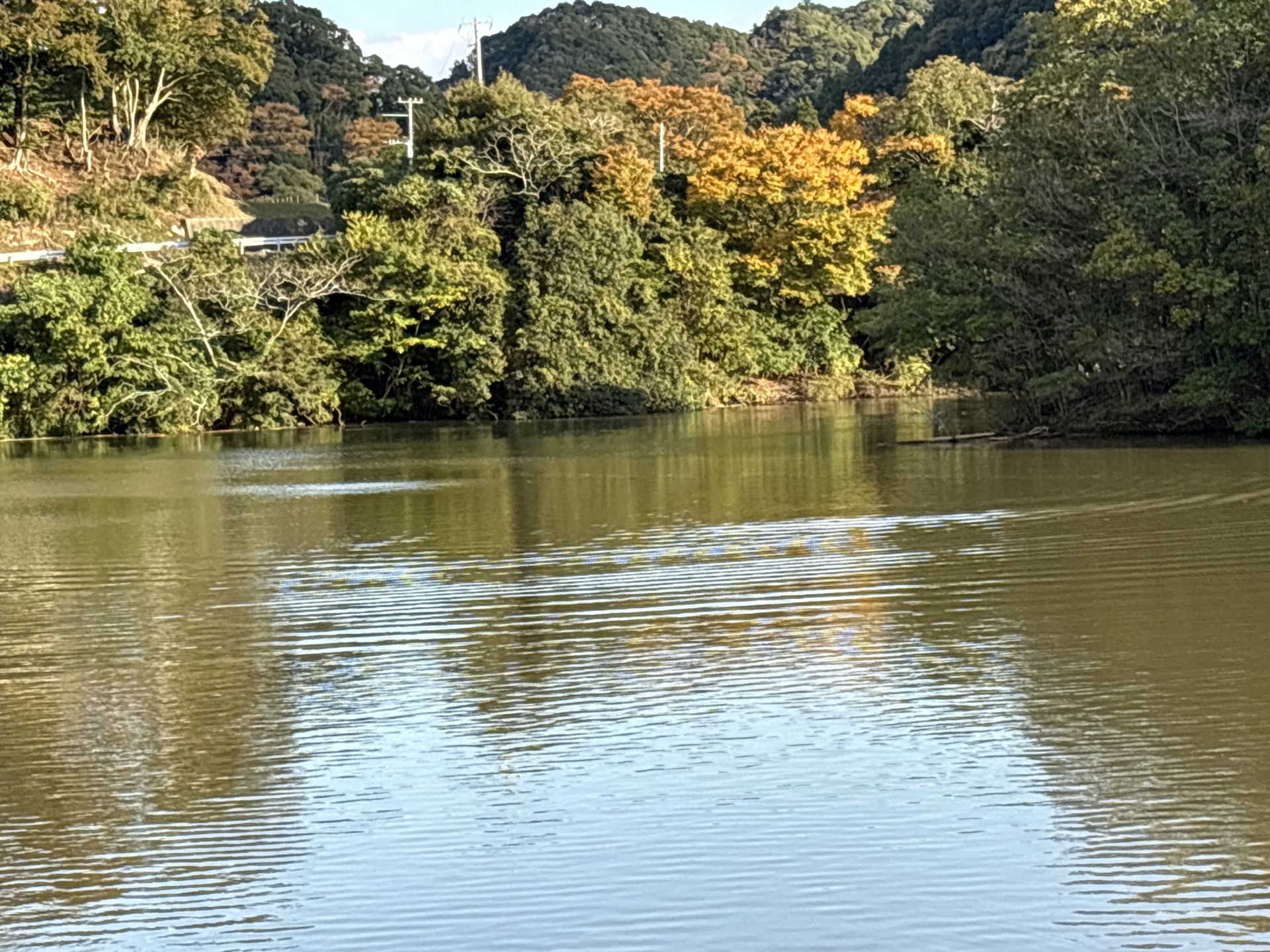 戸面原ダム 戸面原ダムボートセンターの2025年11月10日のイメージ