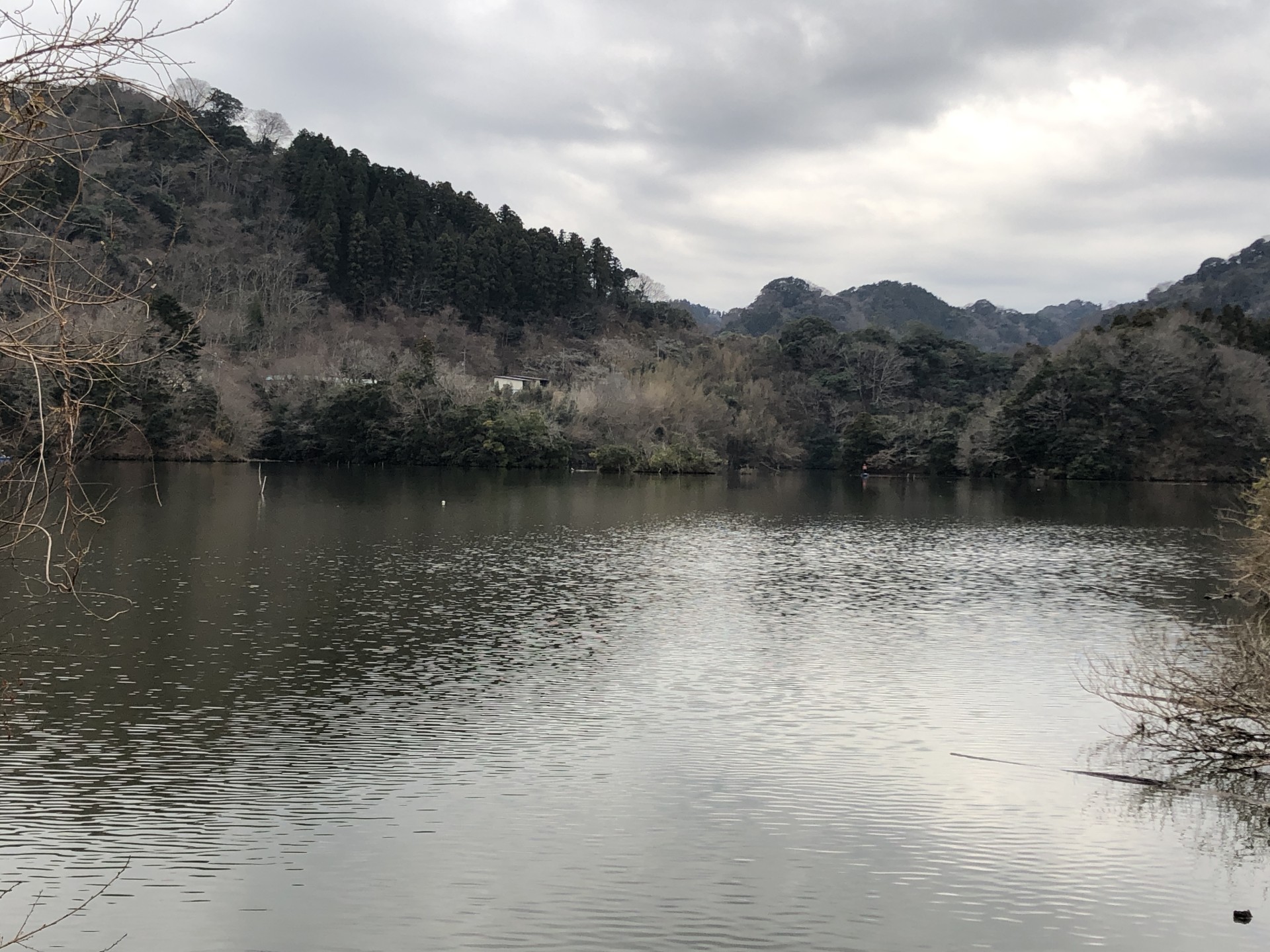 戸面原ダム 戸面原ダムボートセンターの2025年1月12日のイメージ