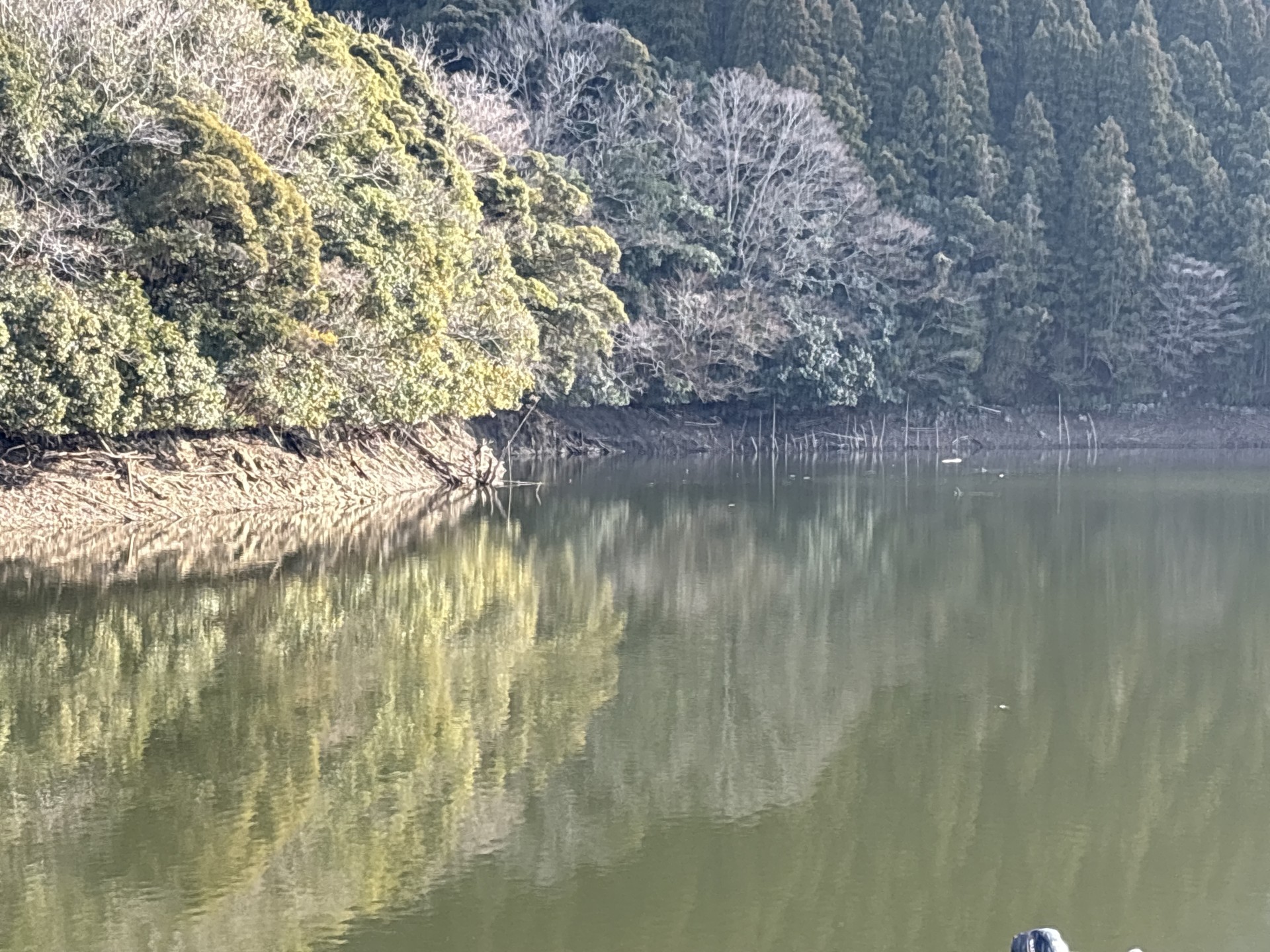 戸面原ダム 戸面原ダムボートセンターの2026年2月12日のイメージ