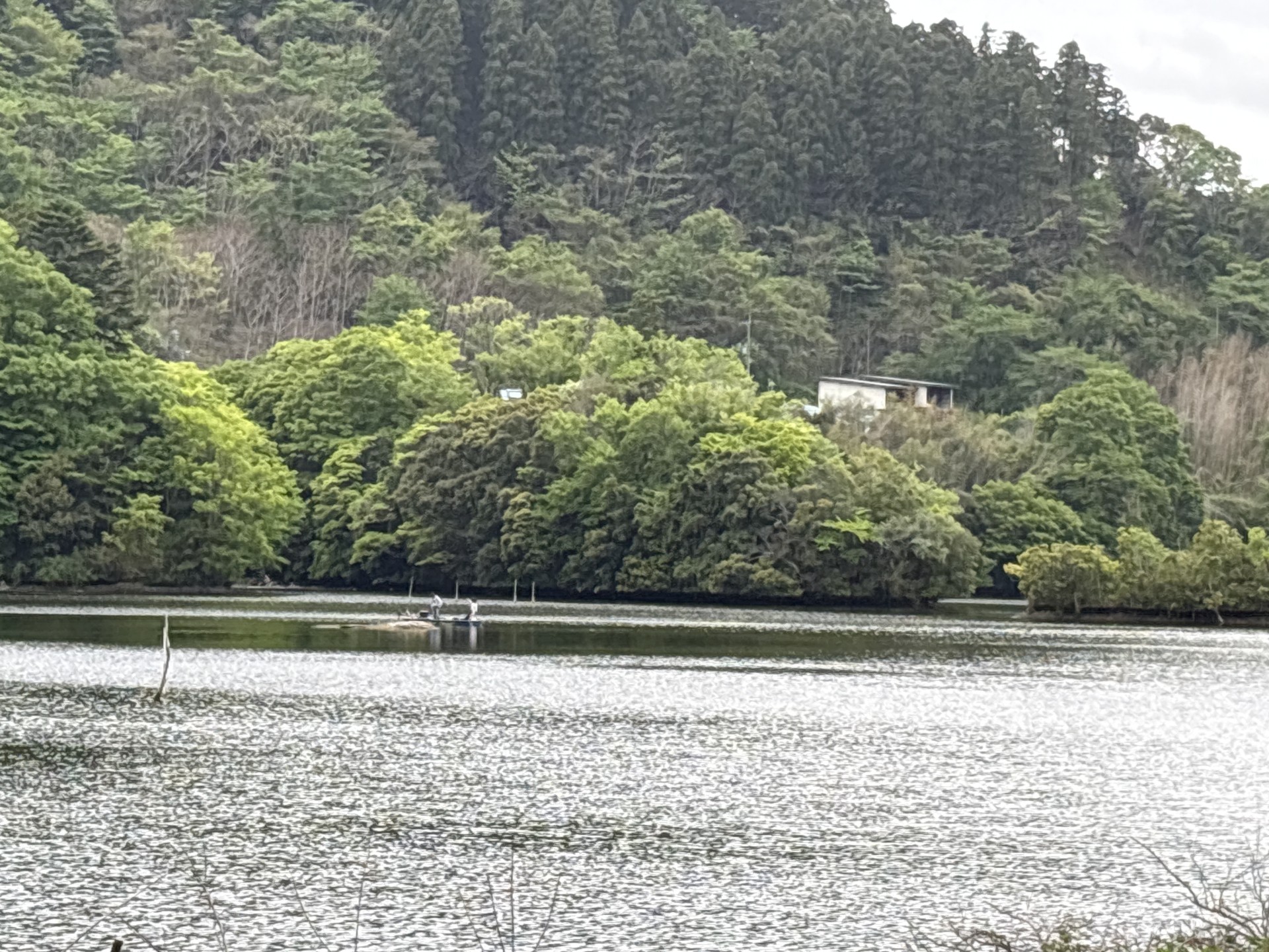 戸面原ダム 戸面原ダムボートセンターの2026年4月22日のイメージ