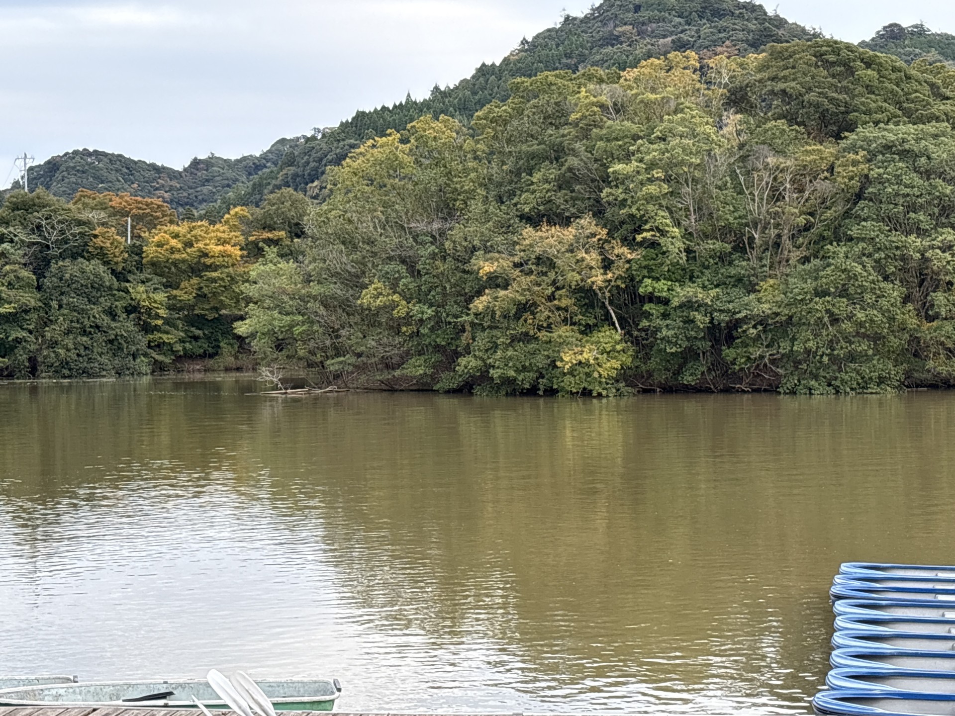 戸面原ダム 戸面原ダムボートセンターの2025年11月4日のイメージ