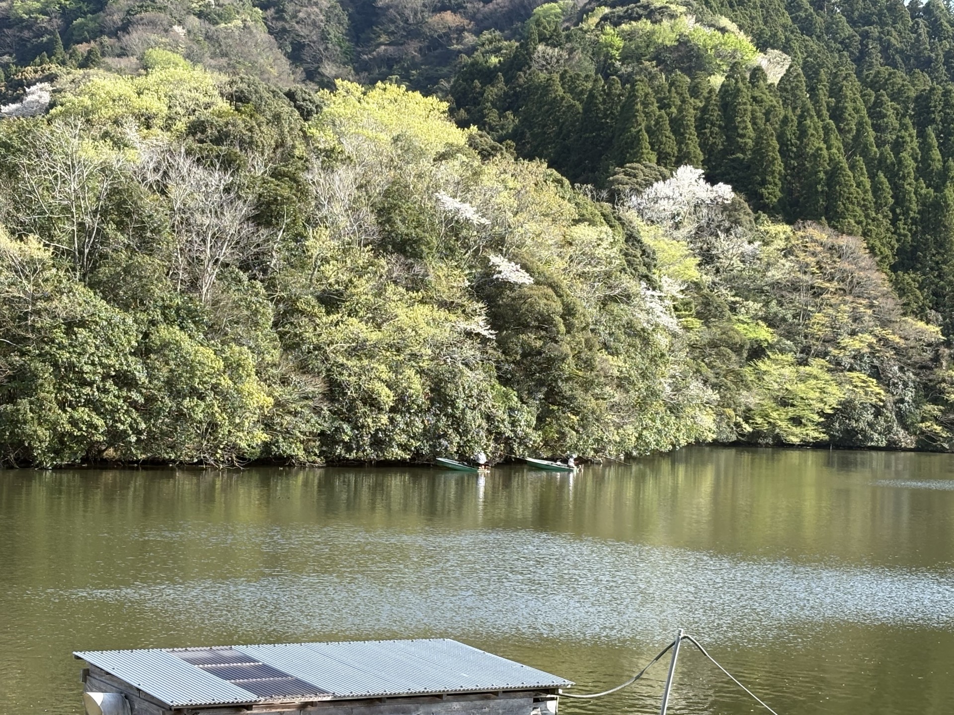 戸面原ダム 戸面原ダムボートセンターの2025年4月12日のイメージ