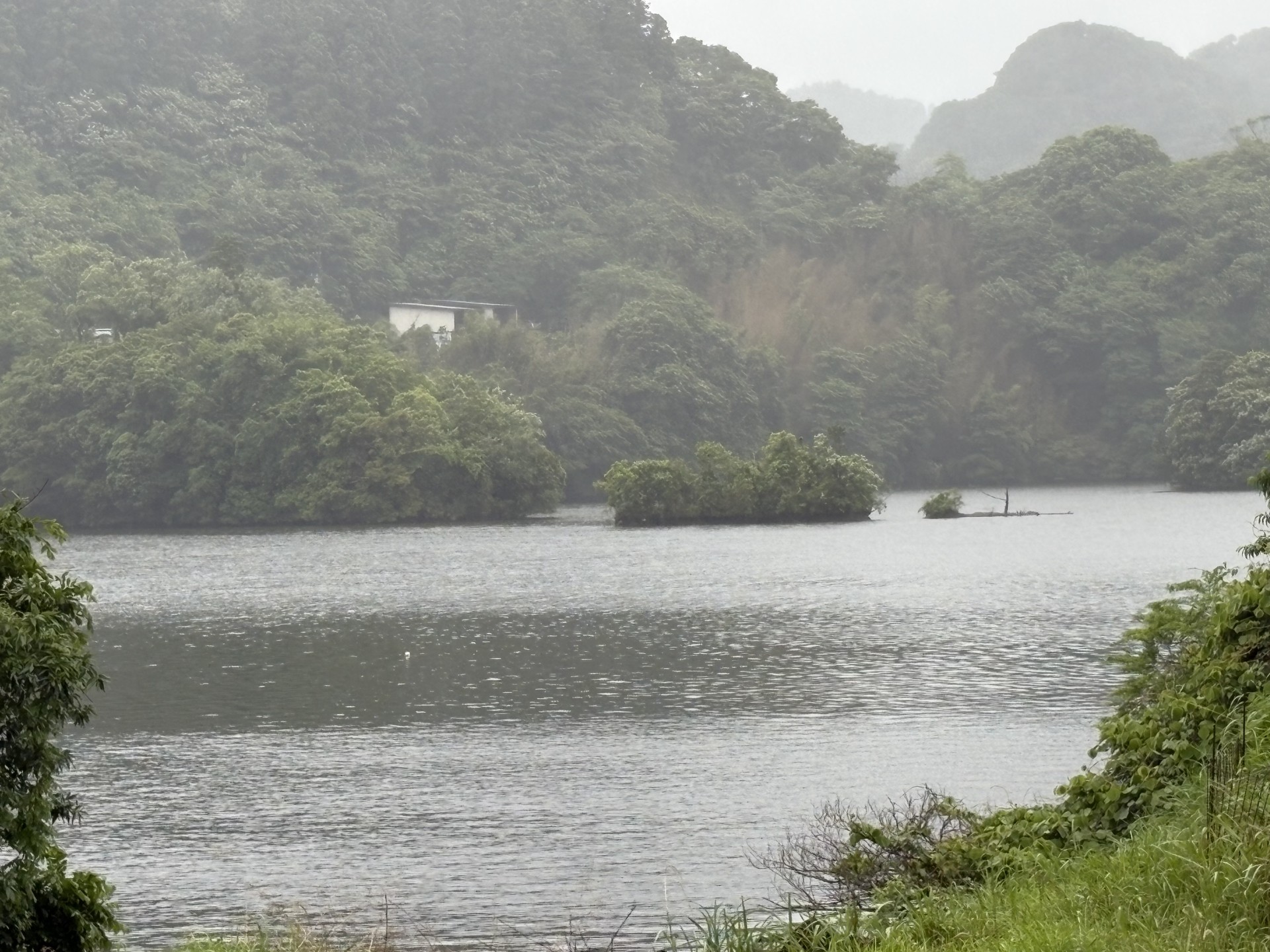 戸面原ダム 戸面原ダムボートセンターの2025年5月31日のイメージ