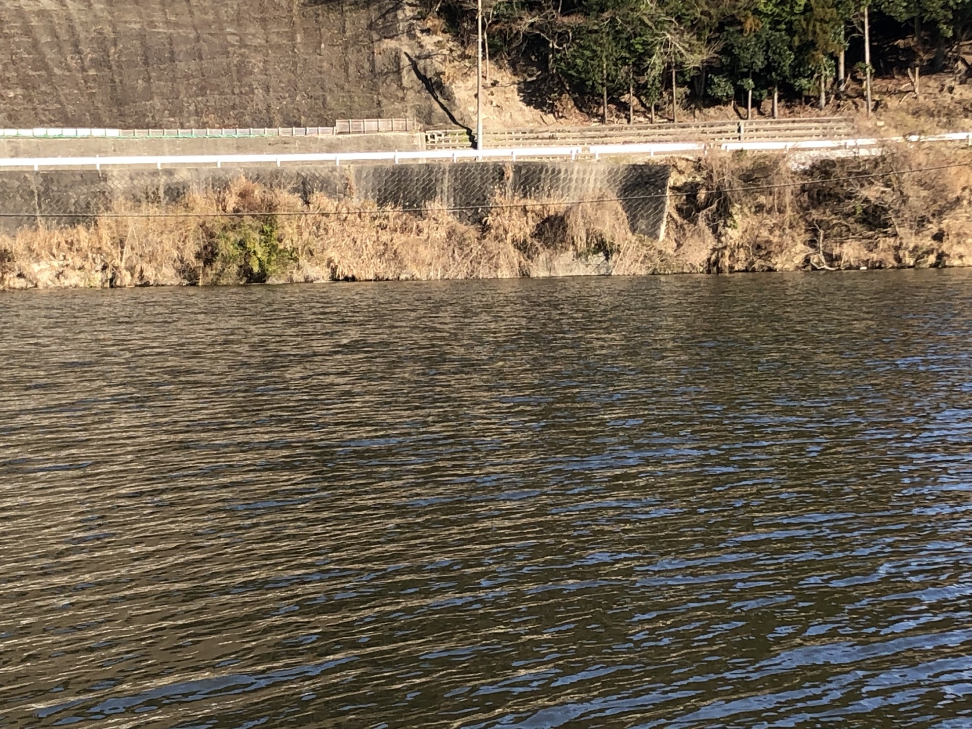 戸面原ダム 戸面原ダムボートセンターの2025年1月14日のイメージ