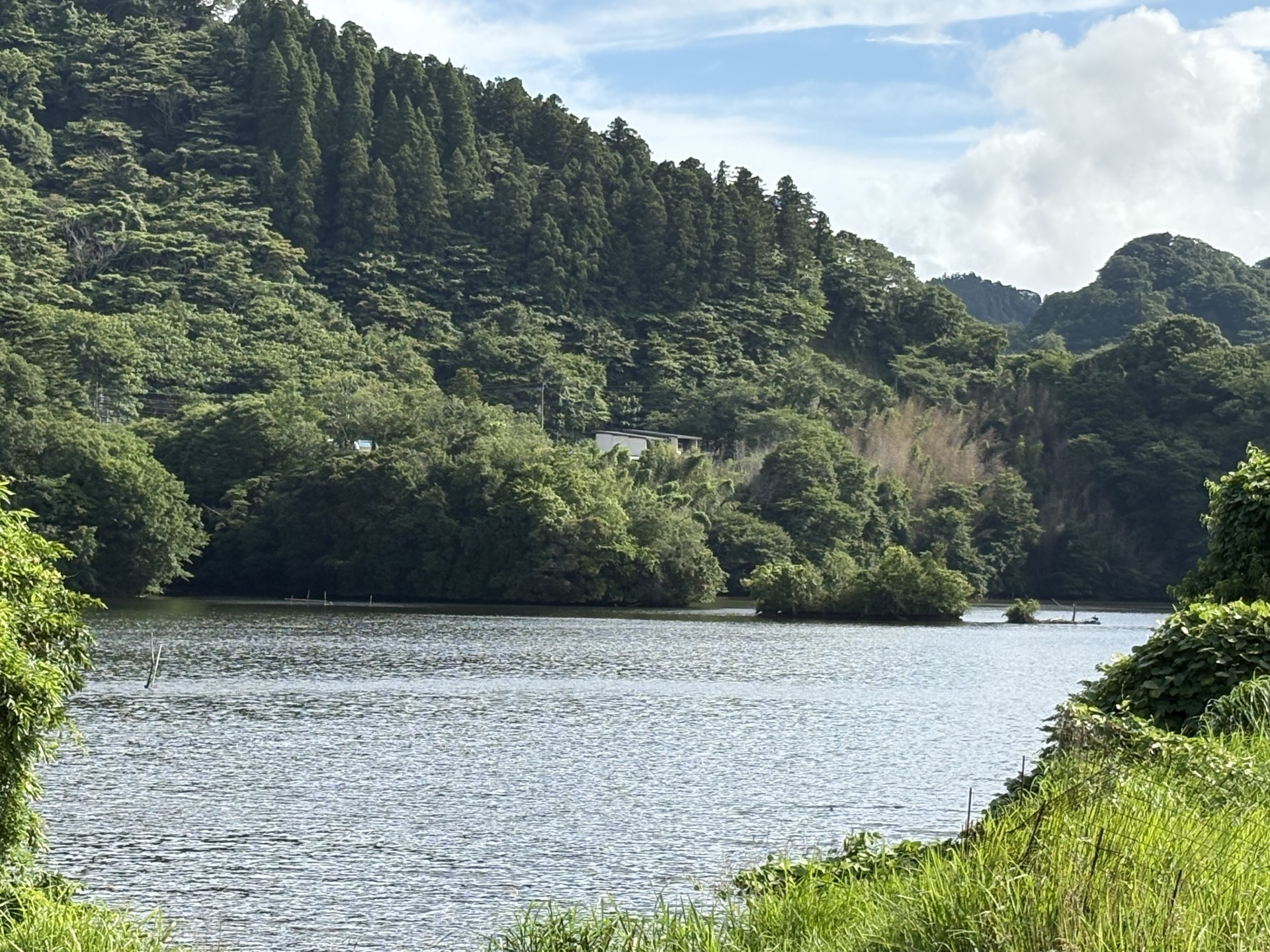 戸面原ダム 戸面原ダムボートセンターの2025年6月23日のイメージ