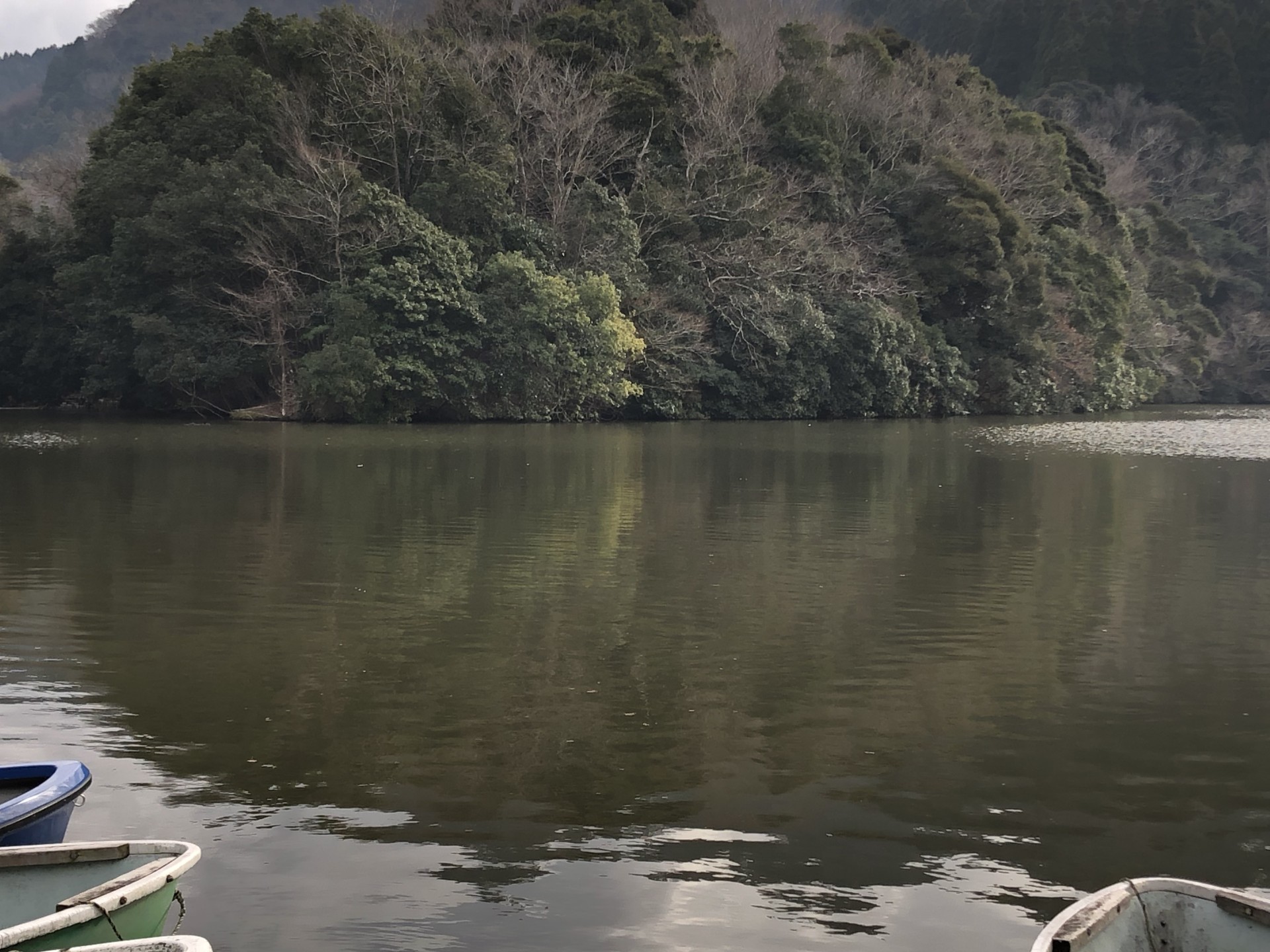 戸面原ダム 戸面原ダムボートセンターの2025年1月6日のイメージ