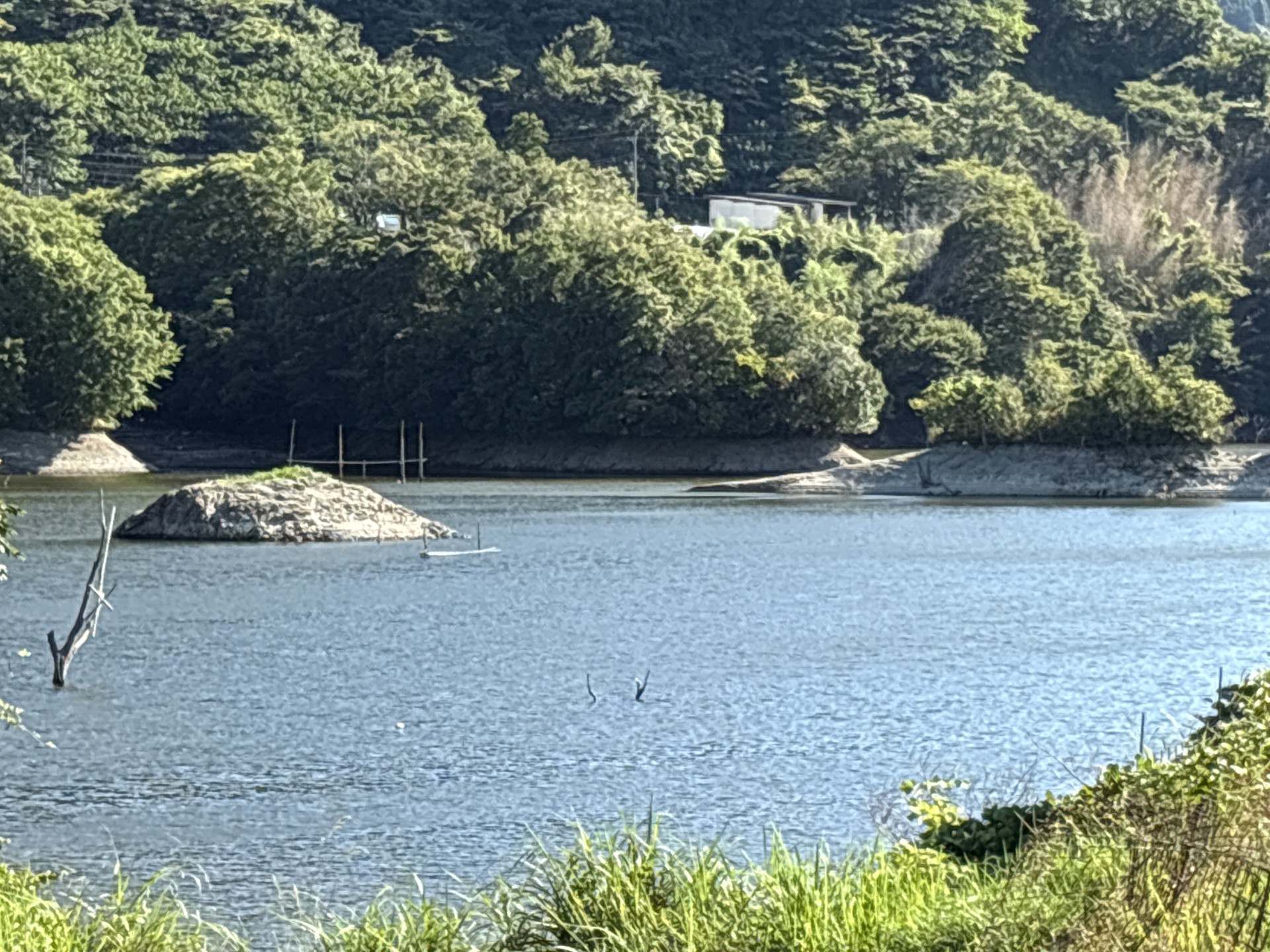 戸面原ダム 戸面原ダムボートセンターの2025年8月19日のイメージ