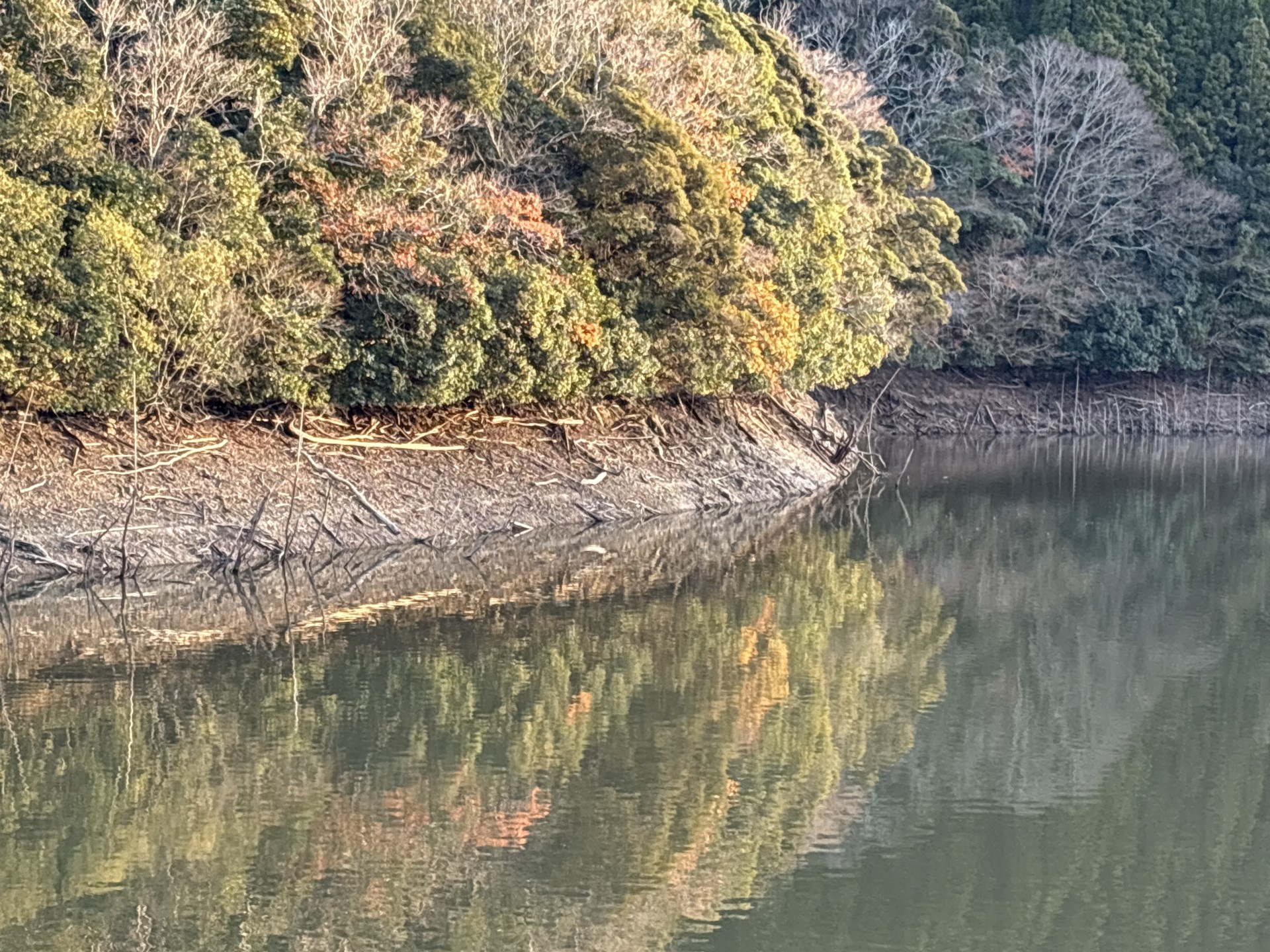 戸面原ダム 戸面原ダムボートセンターの2025年12月16日のイメージ