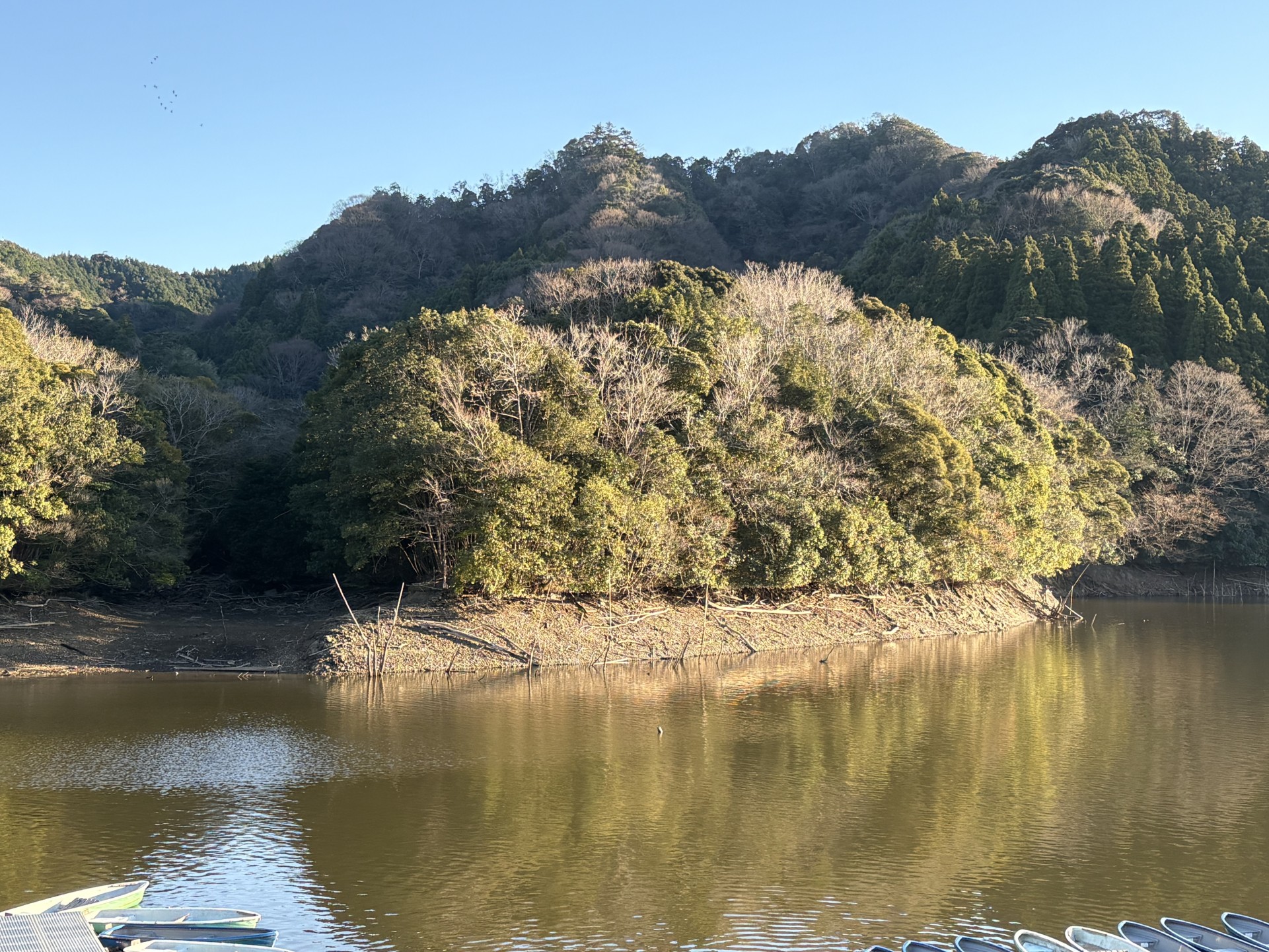 戸面原ダム 戸面原ダムボートセンターの2025年12月28日のイメージ