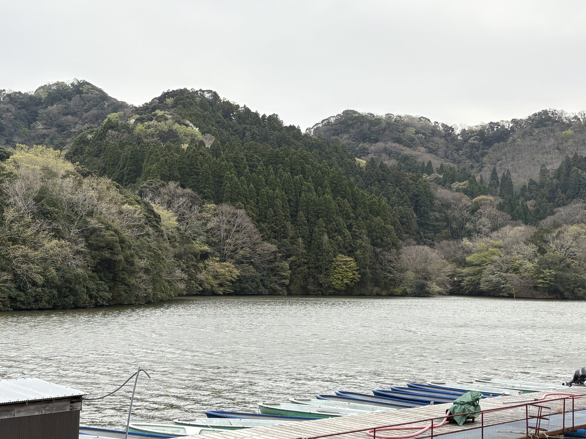 戸面原ダム 戸面原ダムボートセンターの2025年4月8日のイメージ