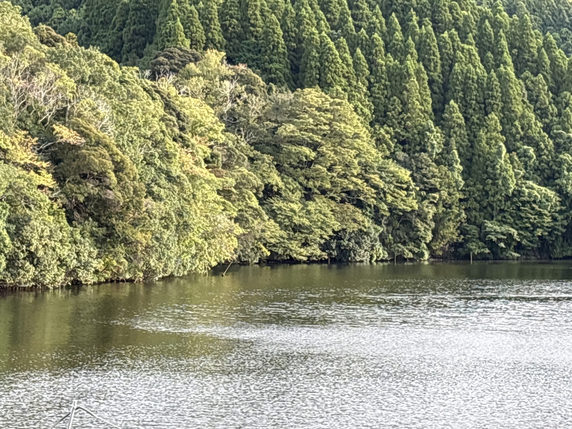 戸面原ダム 戸面原ダムボートセンターの2025年9月28日のイメージ