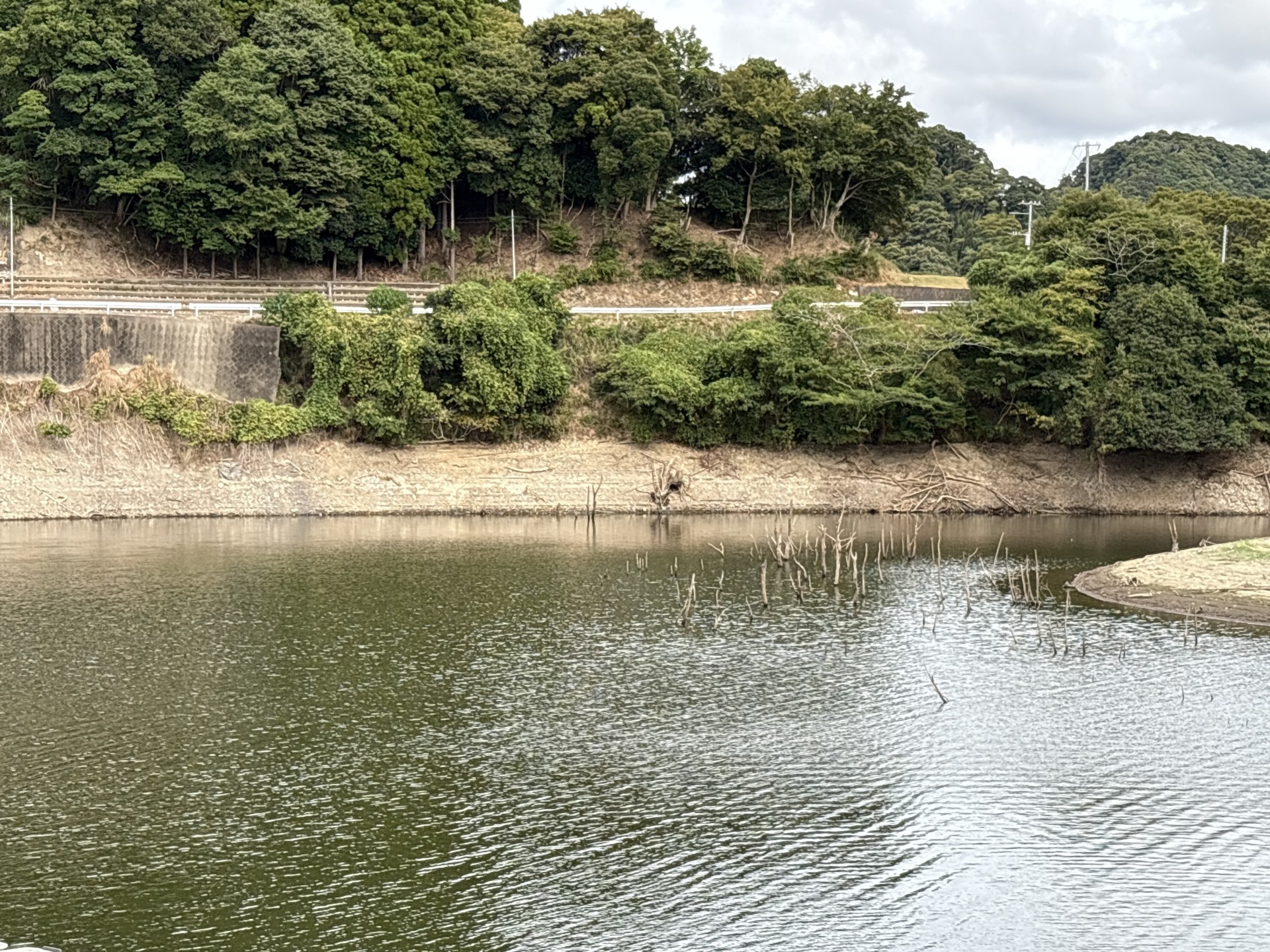 戸面原ダム 戸面原ダムボートセンターの2025年9月3日のイメージ