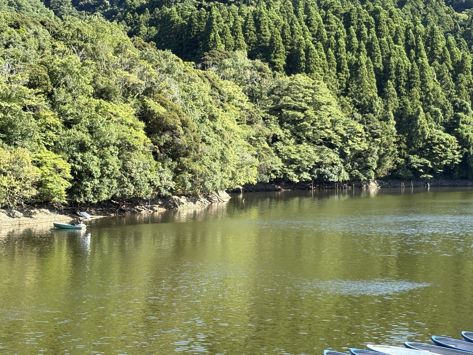 戸面原ダム 戸面原ダムボートセンターの2025年7月29日のイメージ