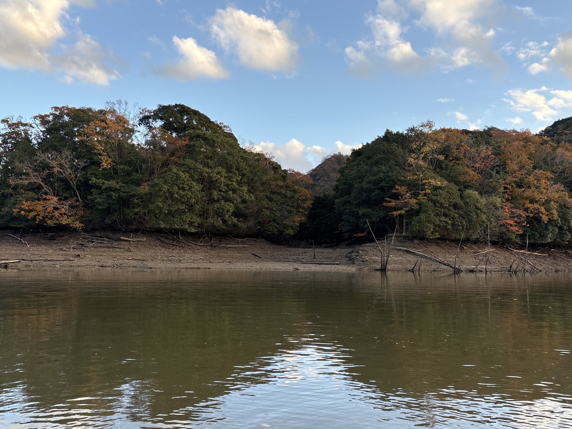 戸面原ダム 戸面原ダムボートセンターの2025年11月29日のイメージ