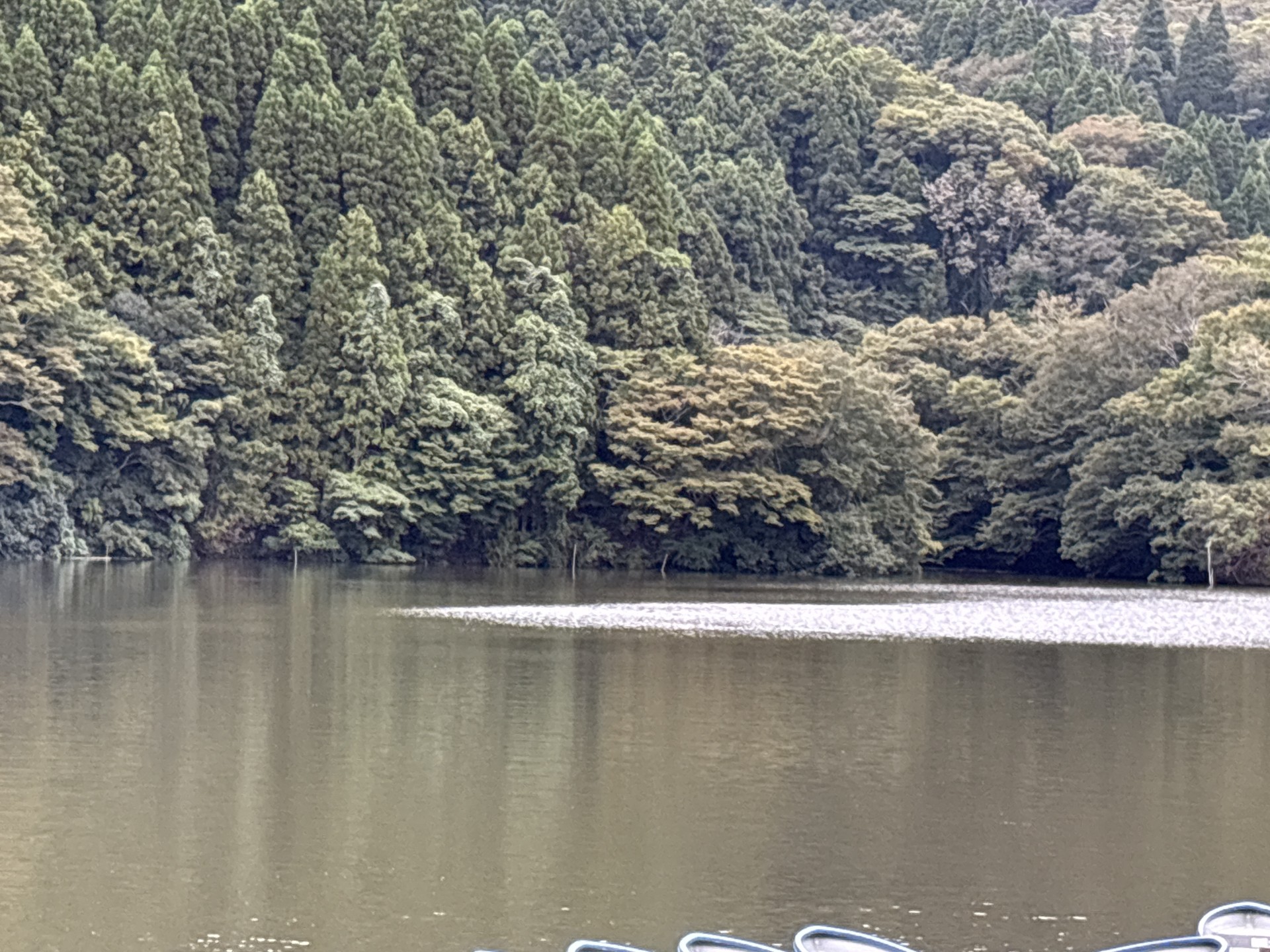 戸面原ダム 戸面原ダムボートセンターの2025年10月21日のイメージ