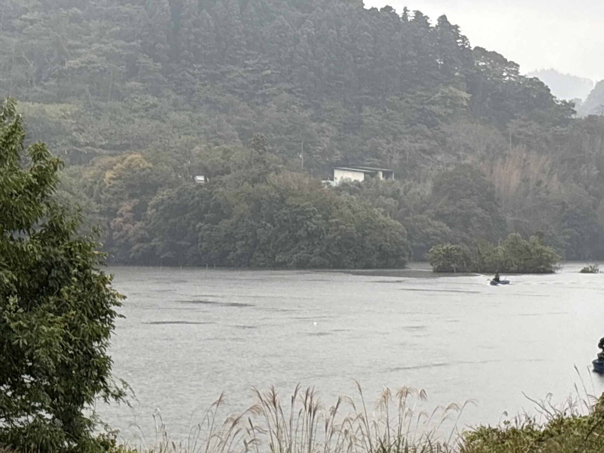 戸面原ダム 戸面原ダムボートセンターの2025年10月31日のイメージ