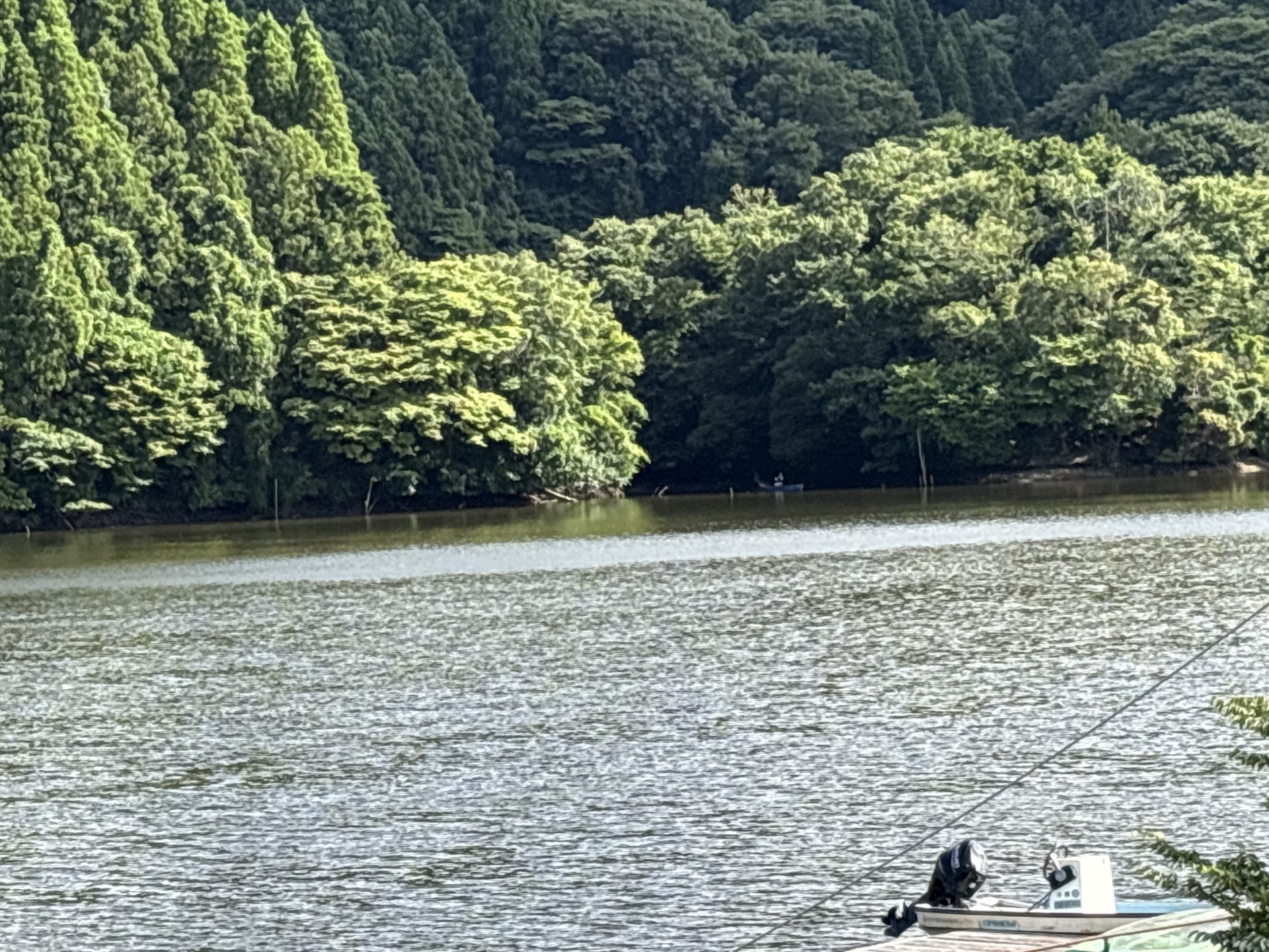 戸面原ダム 戸面原ダムボートセンターの2026年7月19日のイメージ
