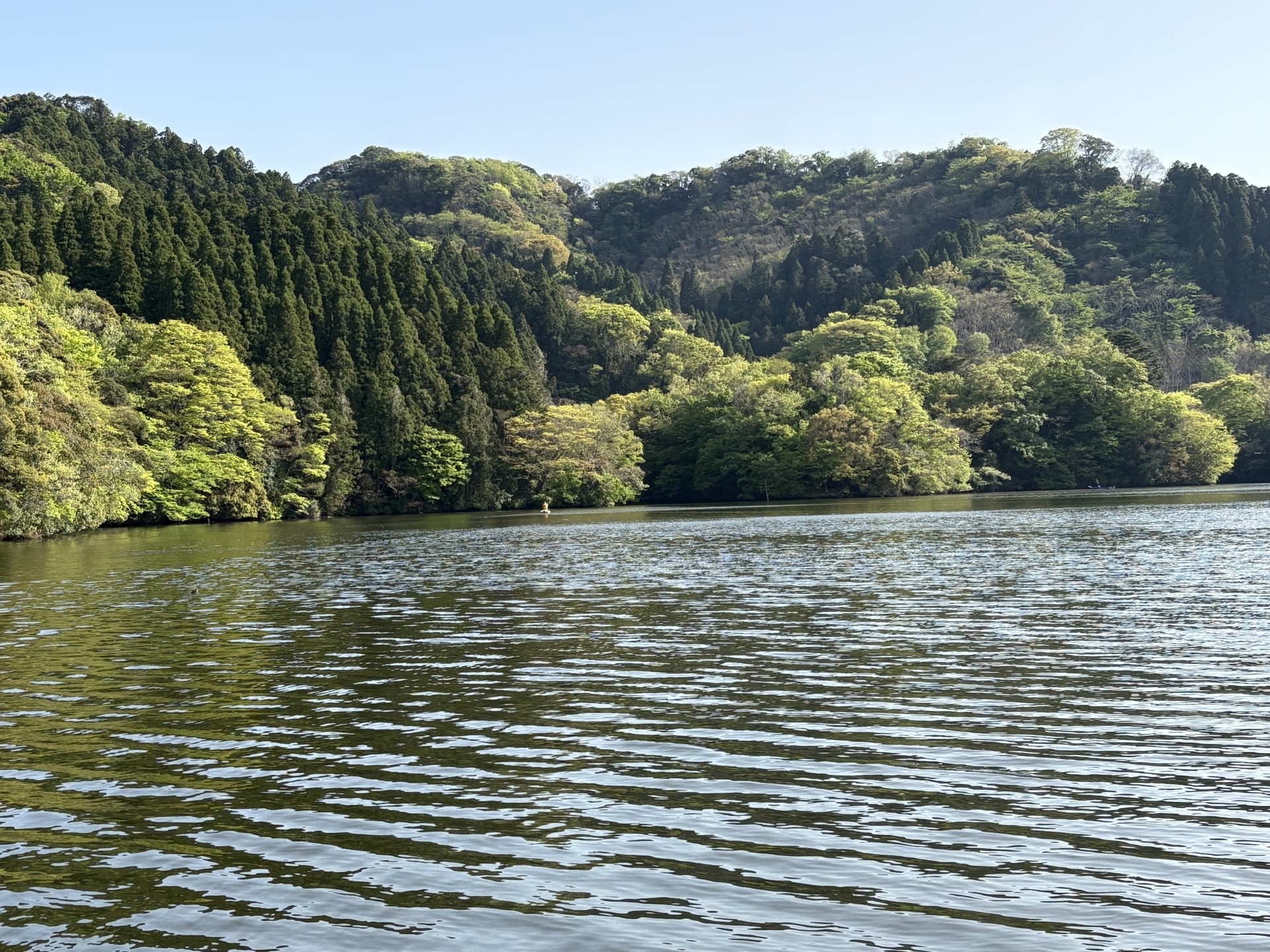 戸面原ダム 戸面原ダムボートセンターの2025年4月21日のイメージ